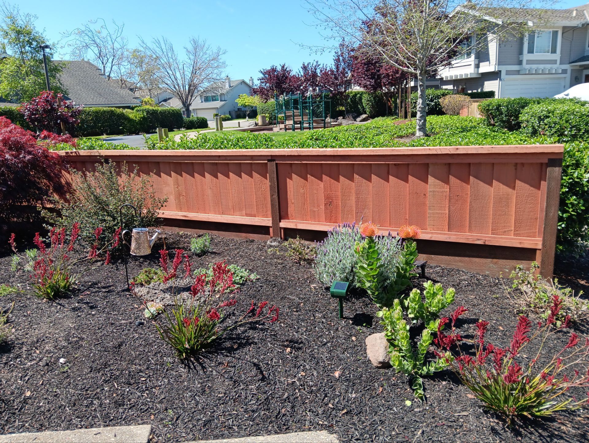 Lap/Louvered Fence with 2x6 Cap by Fremont Fence Inc