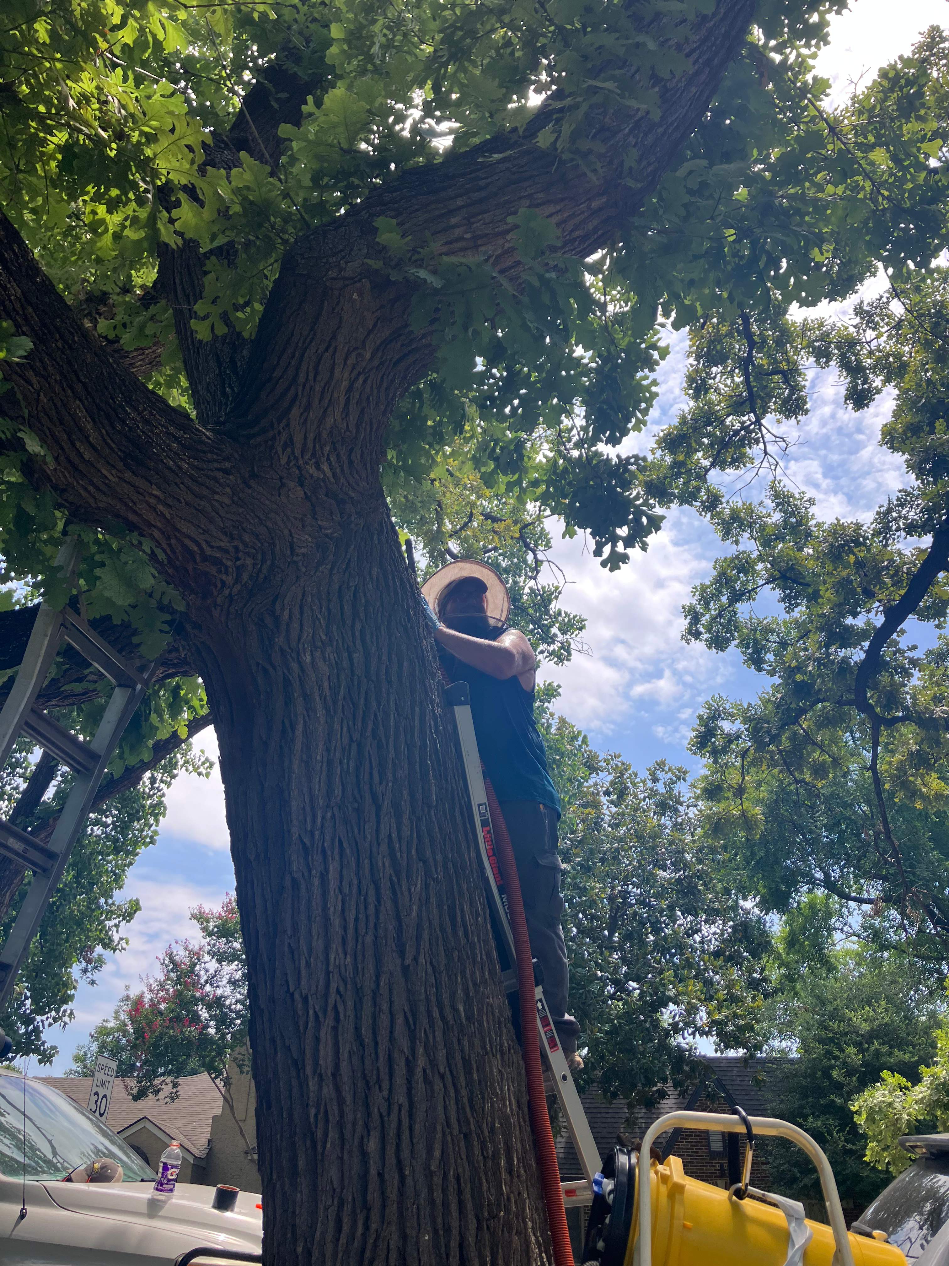 Tight Squeeze by Rockwall Honey Bee Company