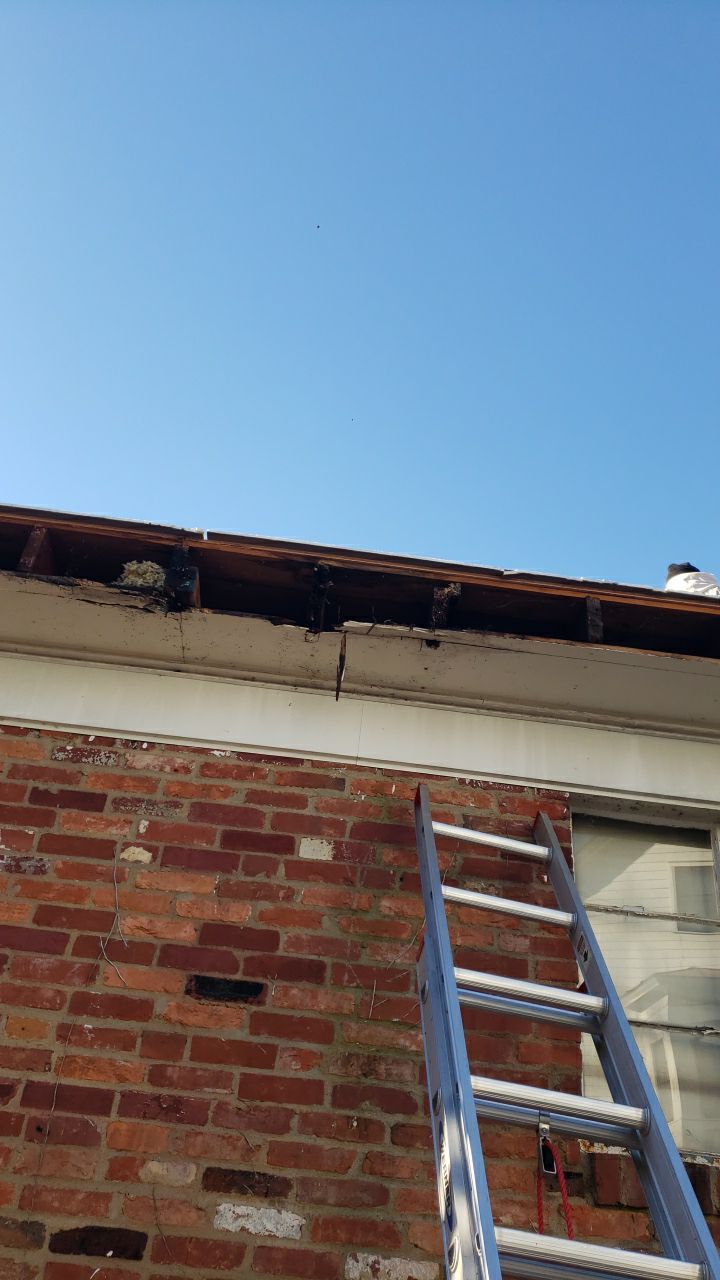 Arlington: CertainTeed Landmark Pro Designer Shingles in Max Def Burnt Sienna by RM Banning, Inc.