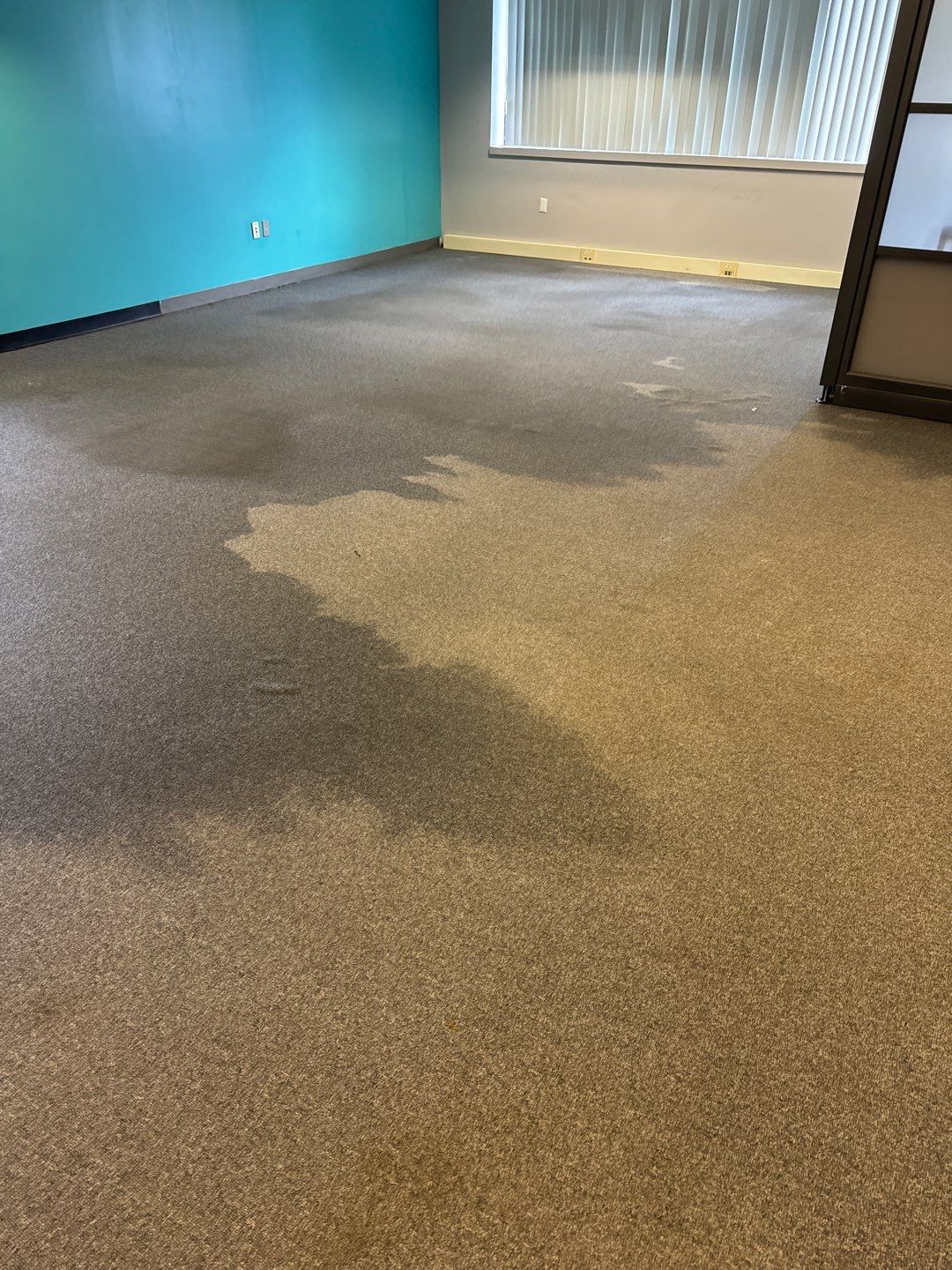 Project in Warren by EzDry Water Mitigation & Property Restoration