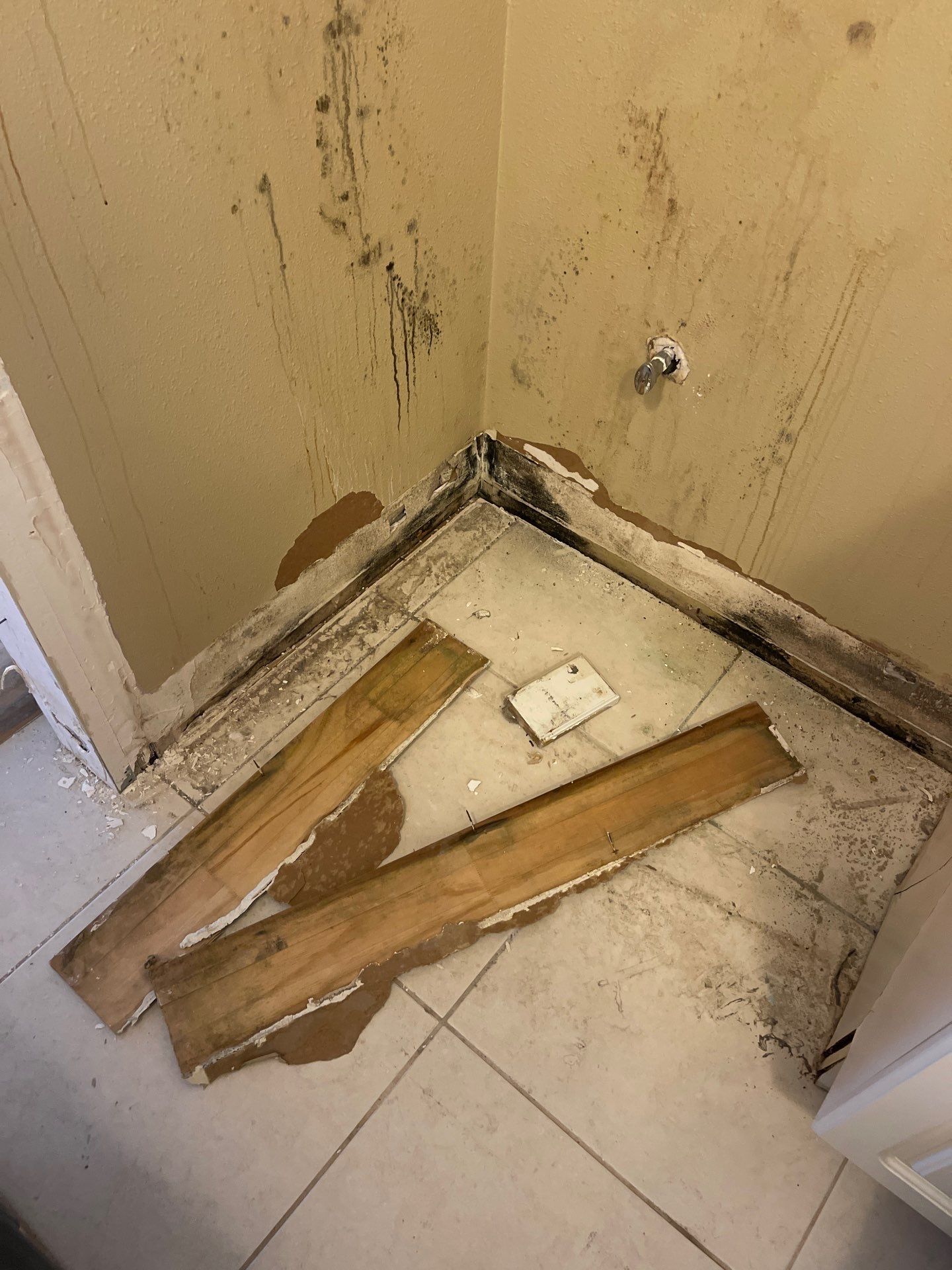 Mold remediation and rebuild of kitchen and living areas by Bay Coast Restoration 