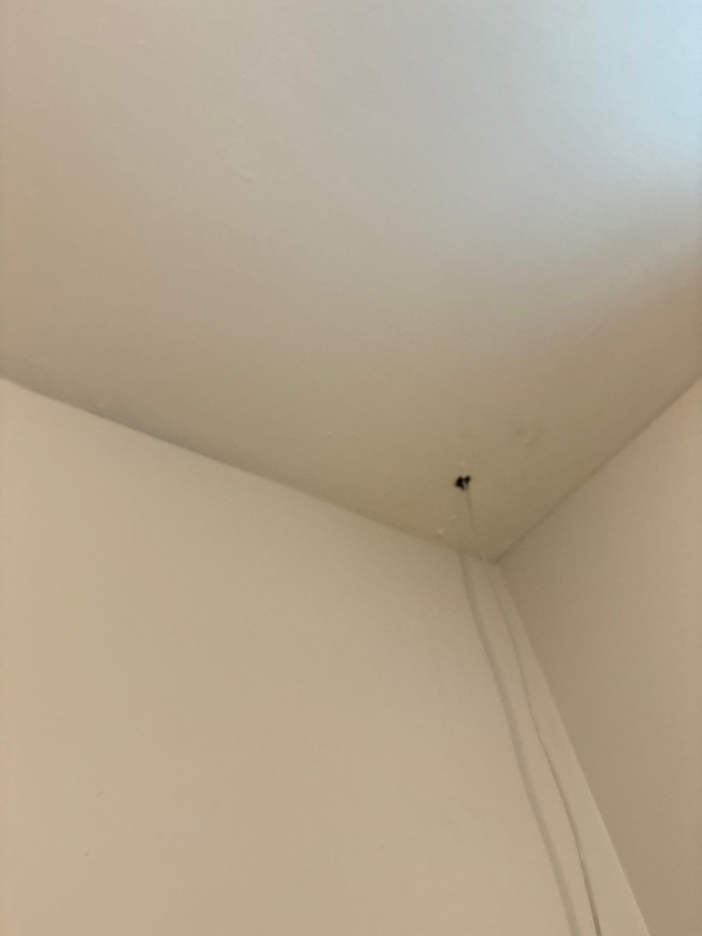 Interior Wall Refresh and Ceiling Fixture Installation in Denver by CompanyCam Sales Demo