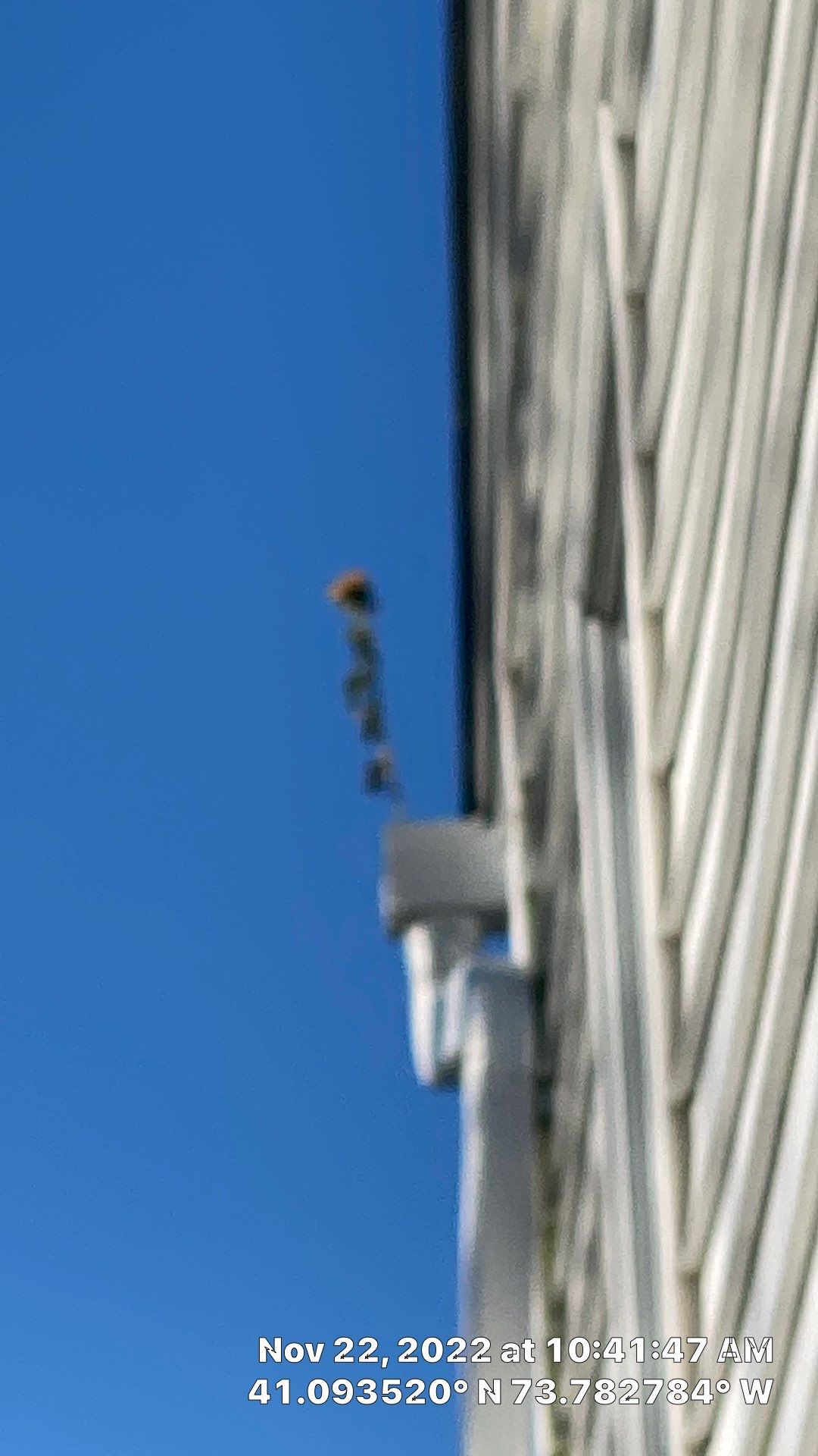 Awh, you shouldn't have! by Above All Gutters 