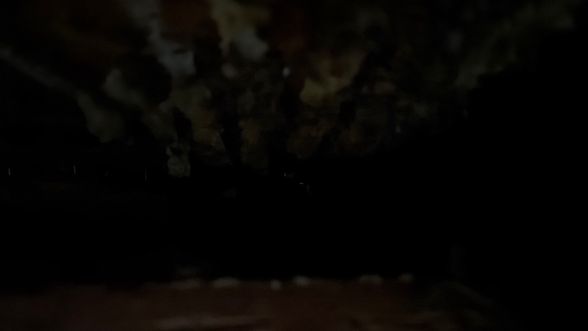 Kitchen ceiling bees by Rockwall Honey Bee Company