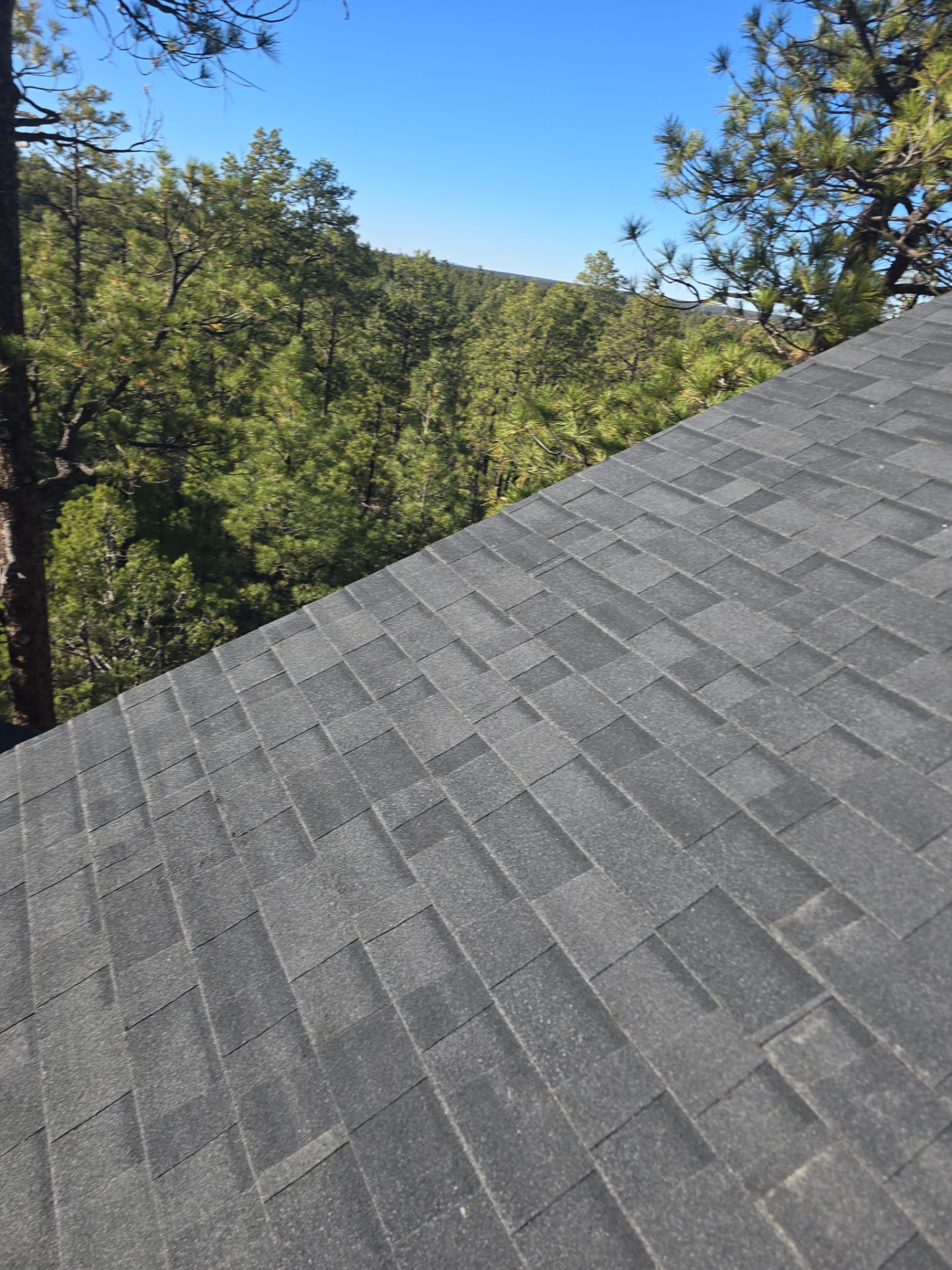 Midnight Black Project in Show Low by Slade Roofing