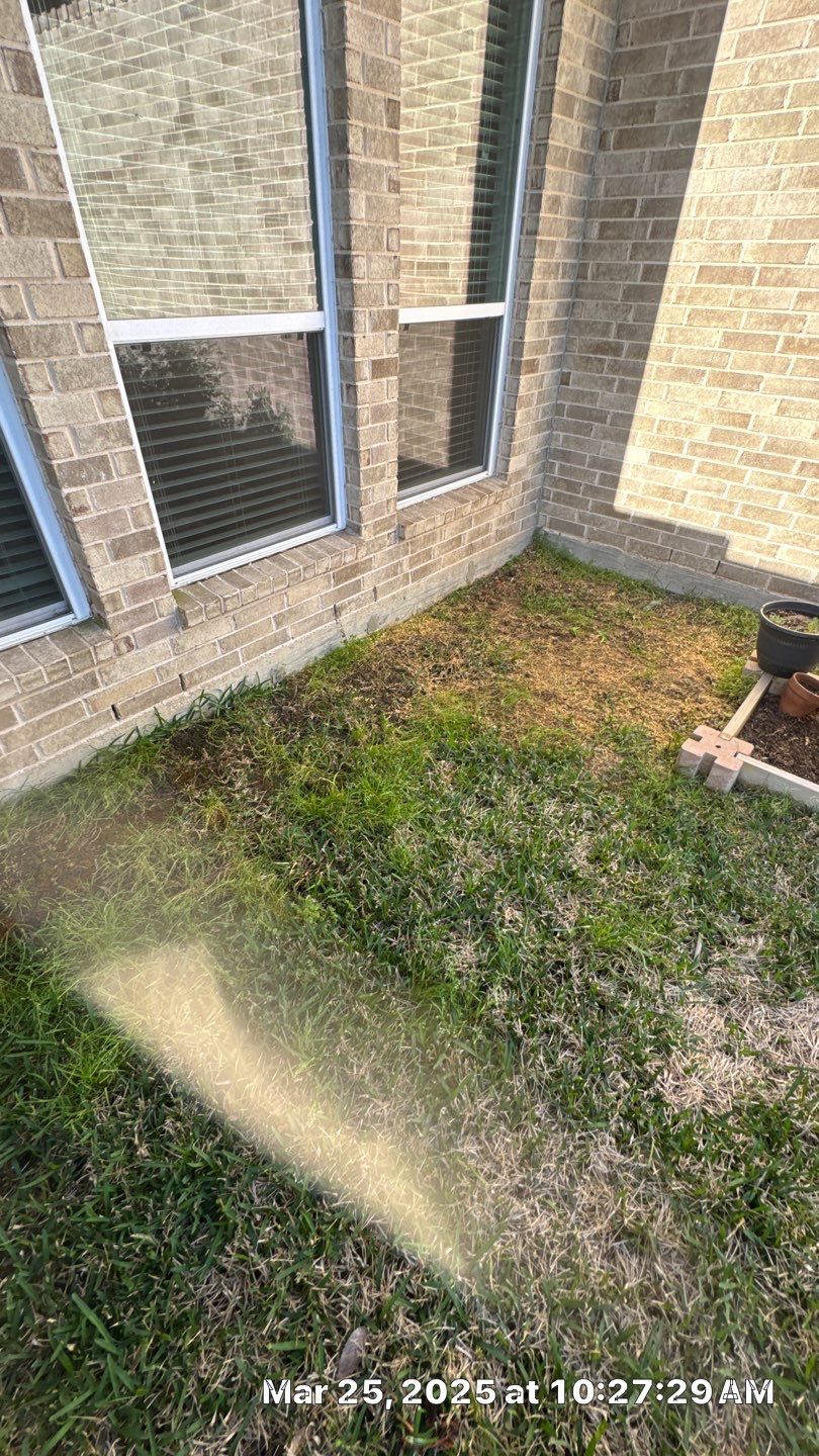 🌟 Mr. & Mrs. Wheeler’s Drainage & Landscape Transformation by Texas Urban Elements