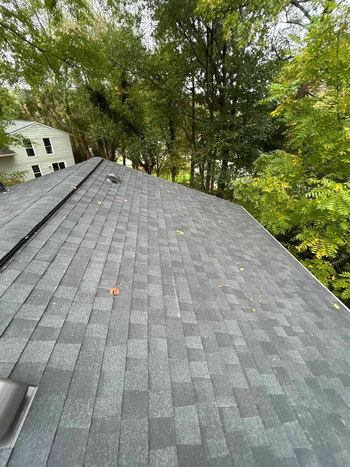 Burke : Residential Roof Replacement with CertainTeed Landmark Pro in Max Def Charcoal Black  by RM Banning, Inc.