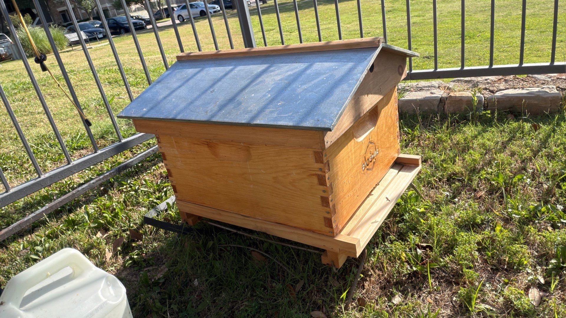 Poolside Bees at Apartment Complex by Rockwall Honey Bee Company