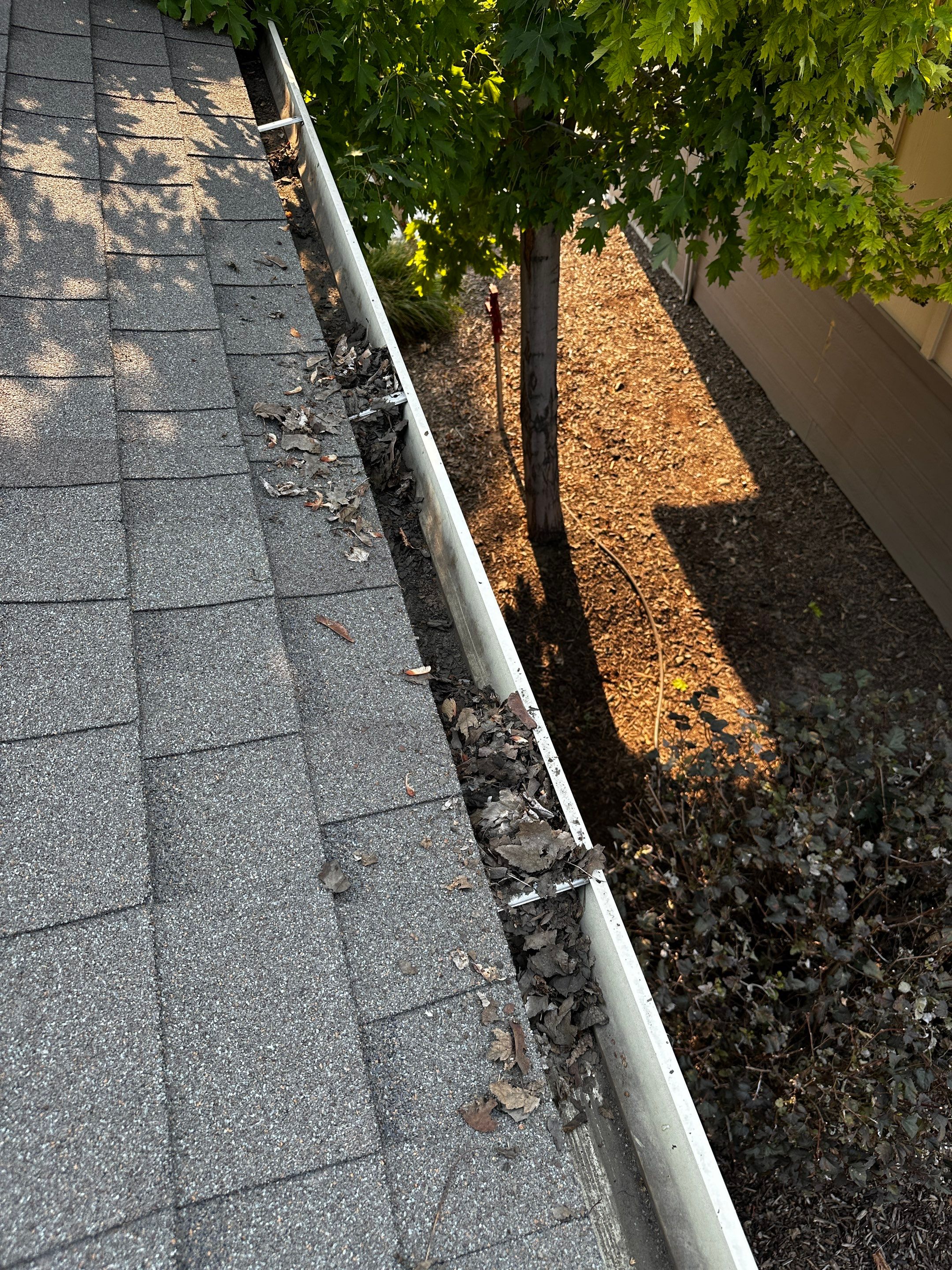 Commercial gutter cleaning Nampa & Caldwell, ID before photo with filled gutters
