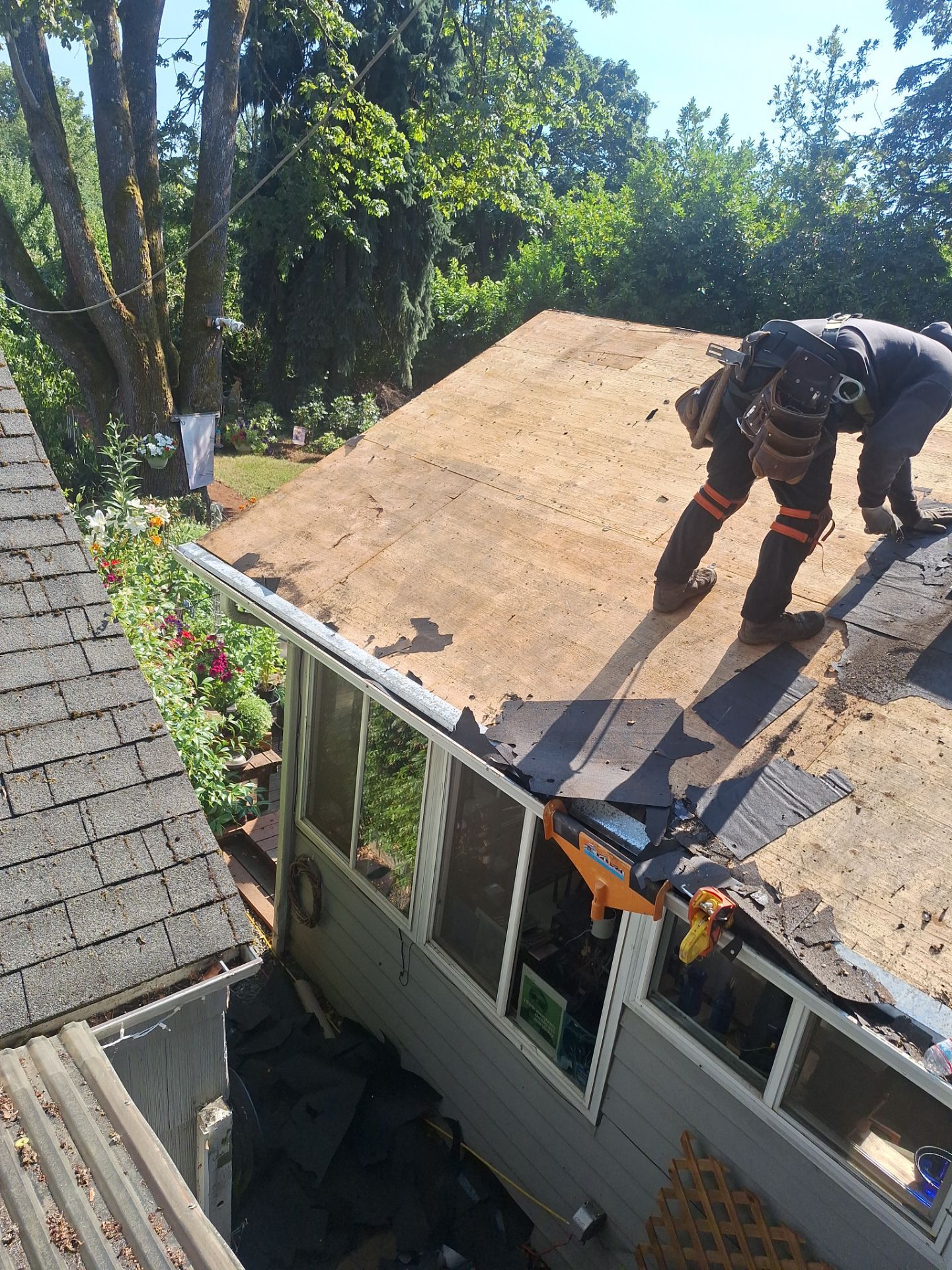Springfield Residential Reroof Featuring New Sheathing and Synthetic Underlayment by BEST Roofing & Waterproofing