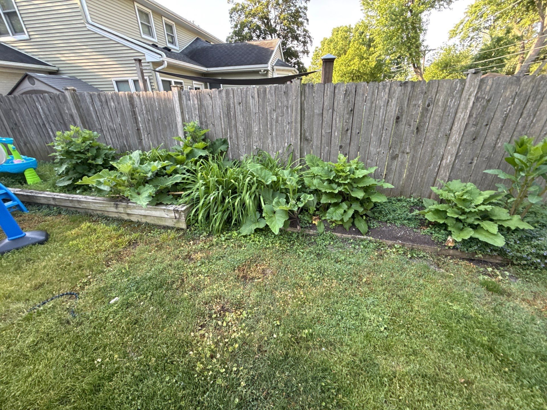 Bryan, F. - Arlington Heights, IL  by A&N 