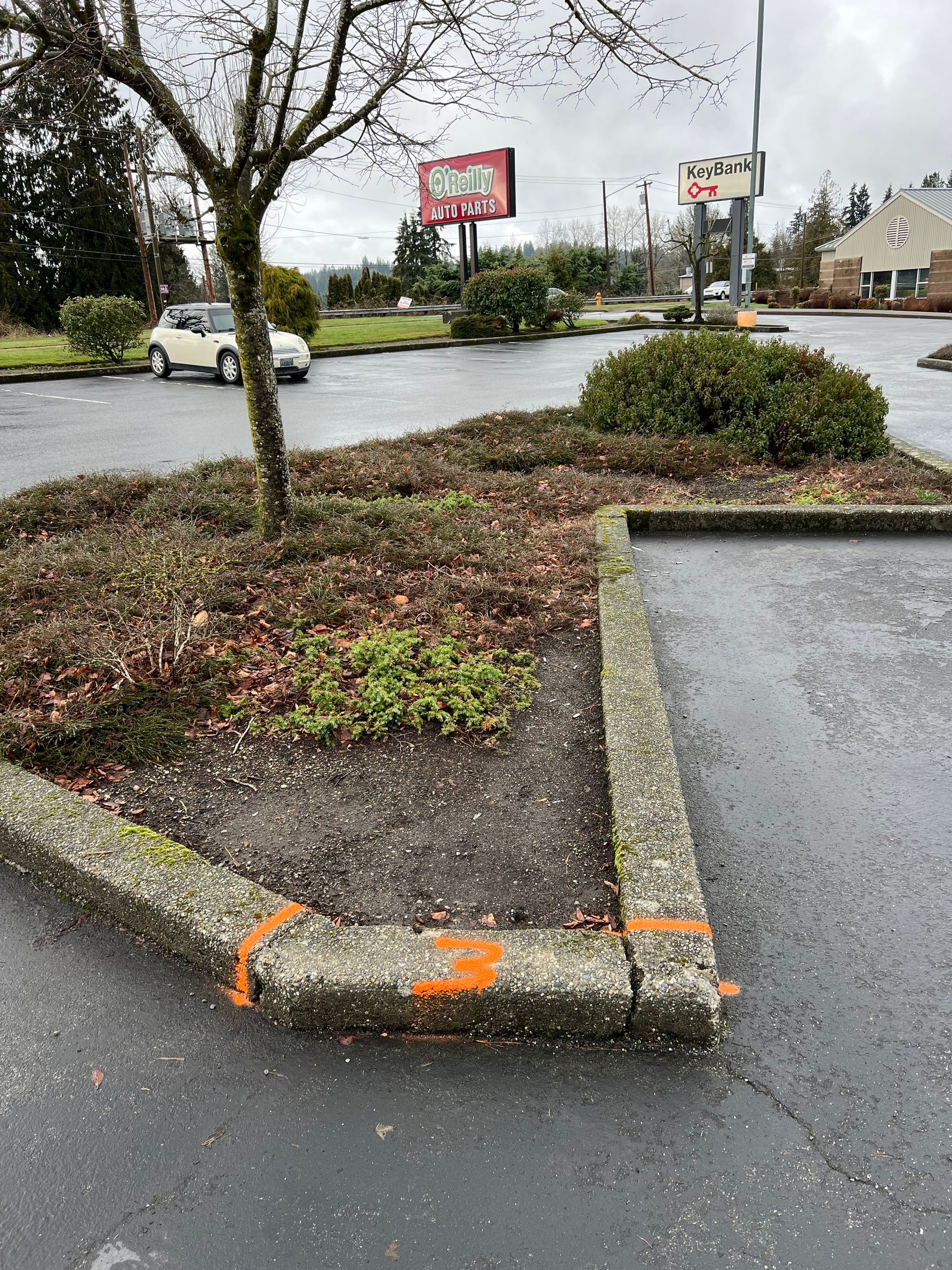 Amanda | Concrete Curb by Jireh Asphalt & Concrete Inc 