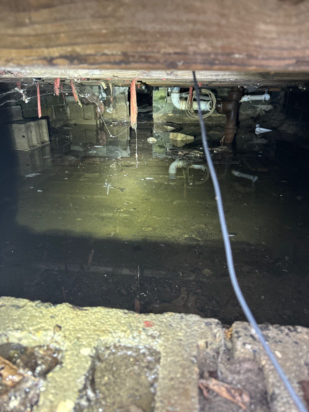 Project in Farmington Hills by EzDry Water Mitigation & Property Restoration