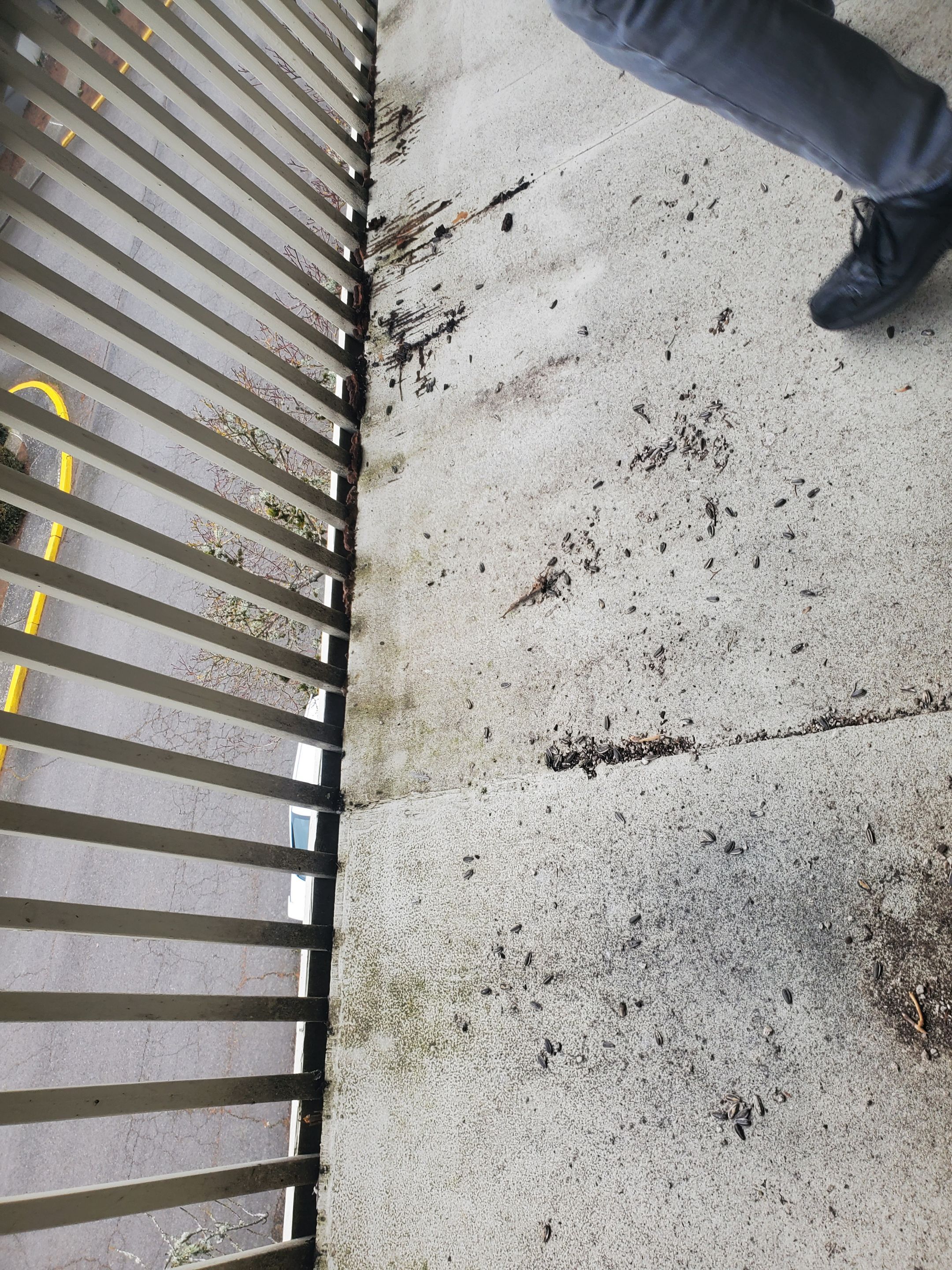 Deck Remove /Repair/Install by Construction Now LLC