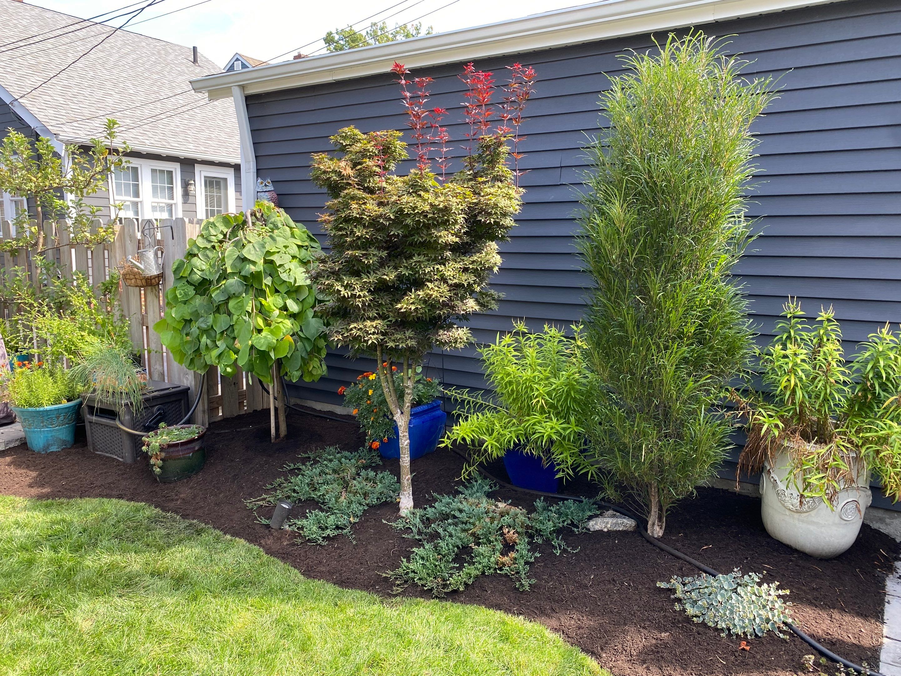 Corten Steel Maintenance by Elm Rose Gardens