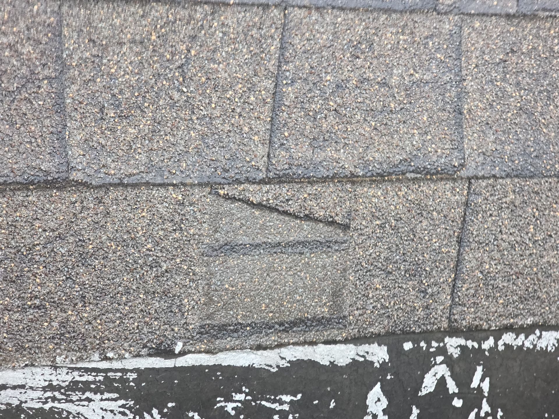 Roof Rejuvenation using Roof Maxx Treatment by Roof Maxx of Folsom