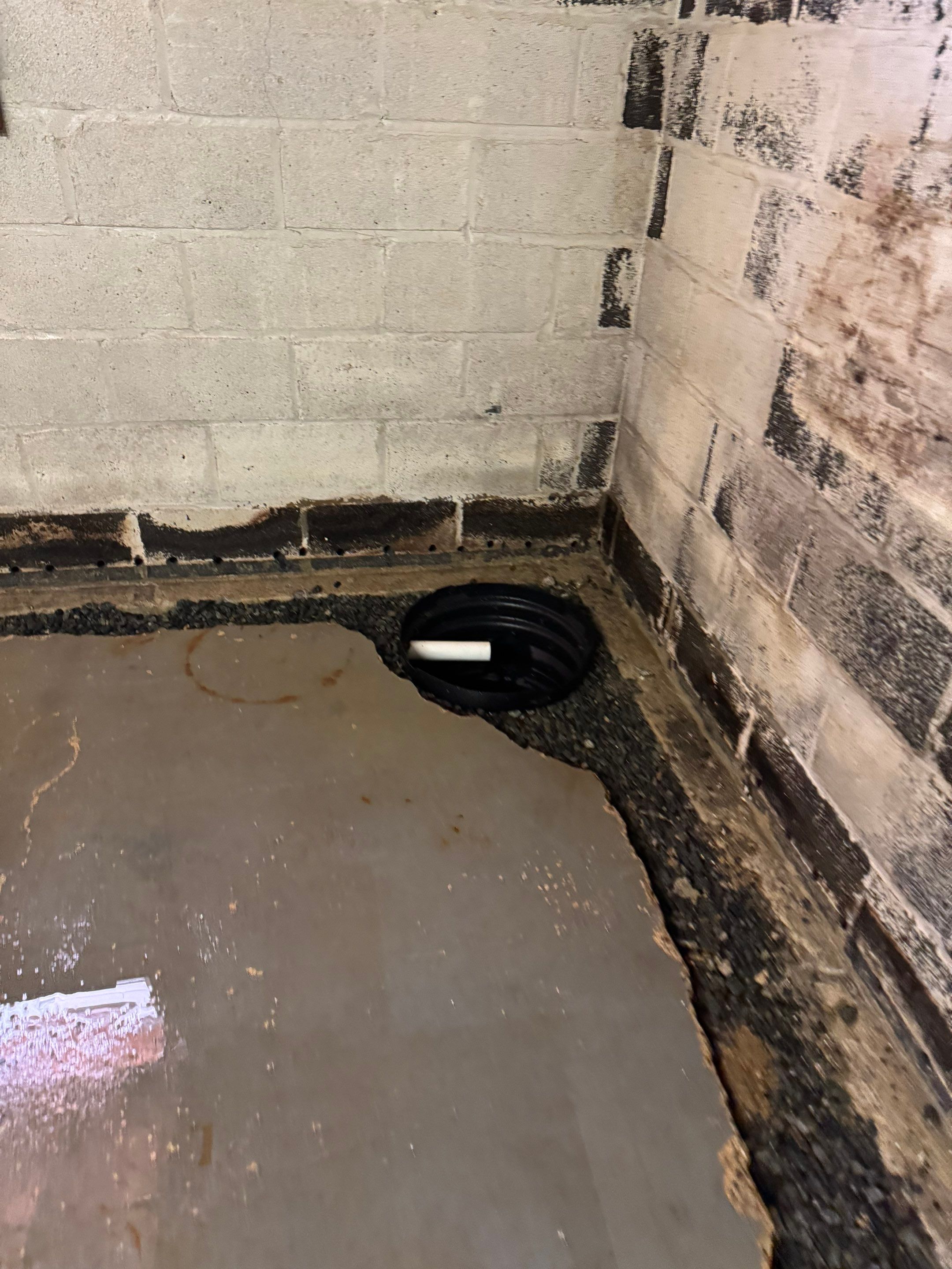 Interior French Drain Washington Township, NJ by Pure Service Pro, LLC 