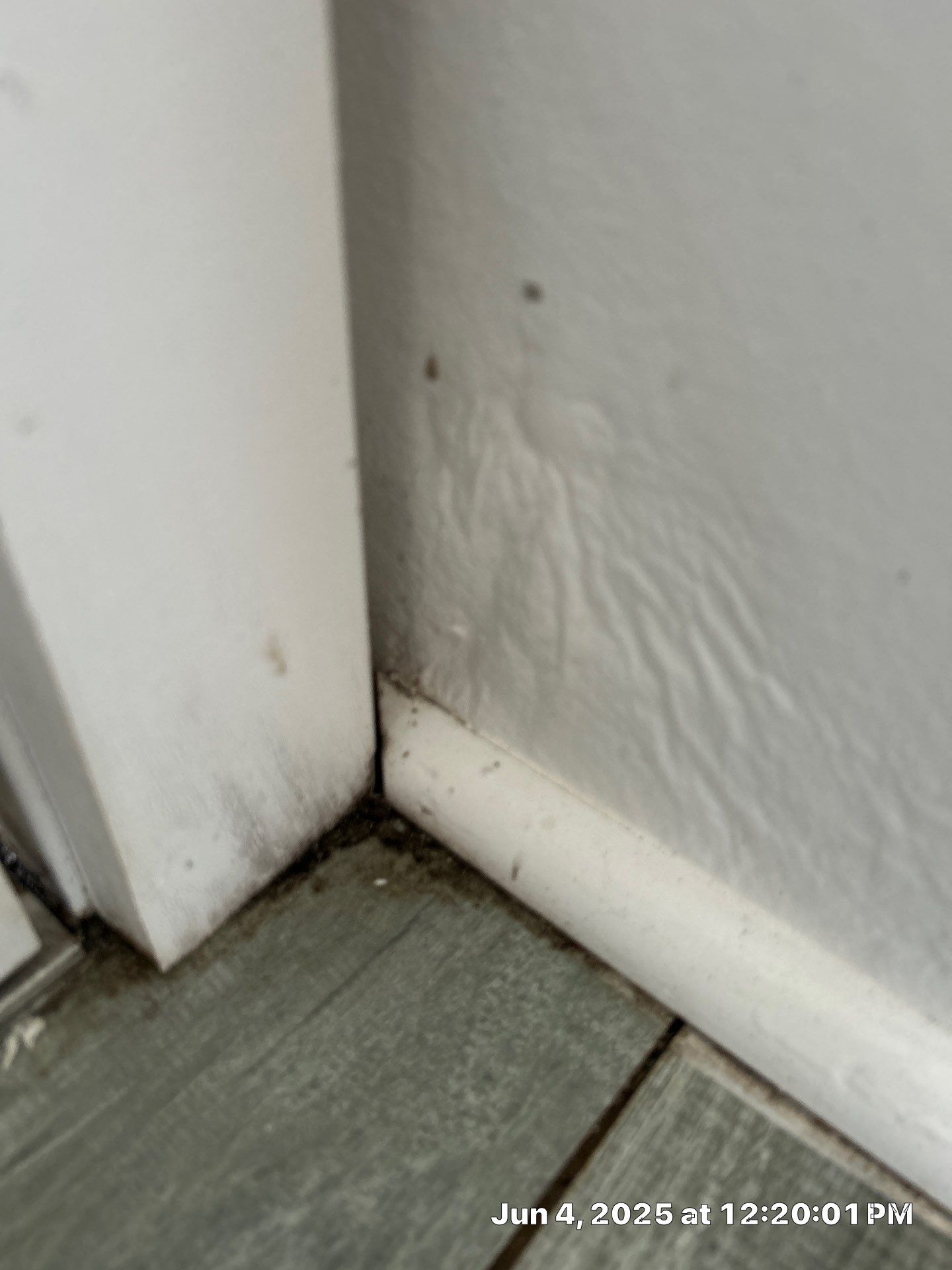 Water Damage Restoration Services by Ampm Restoration Services