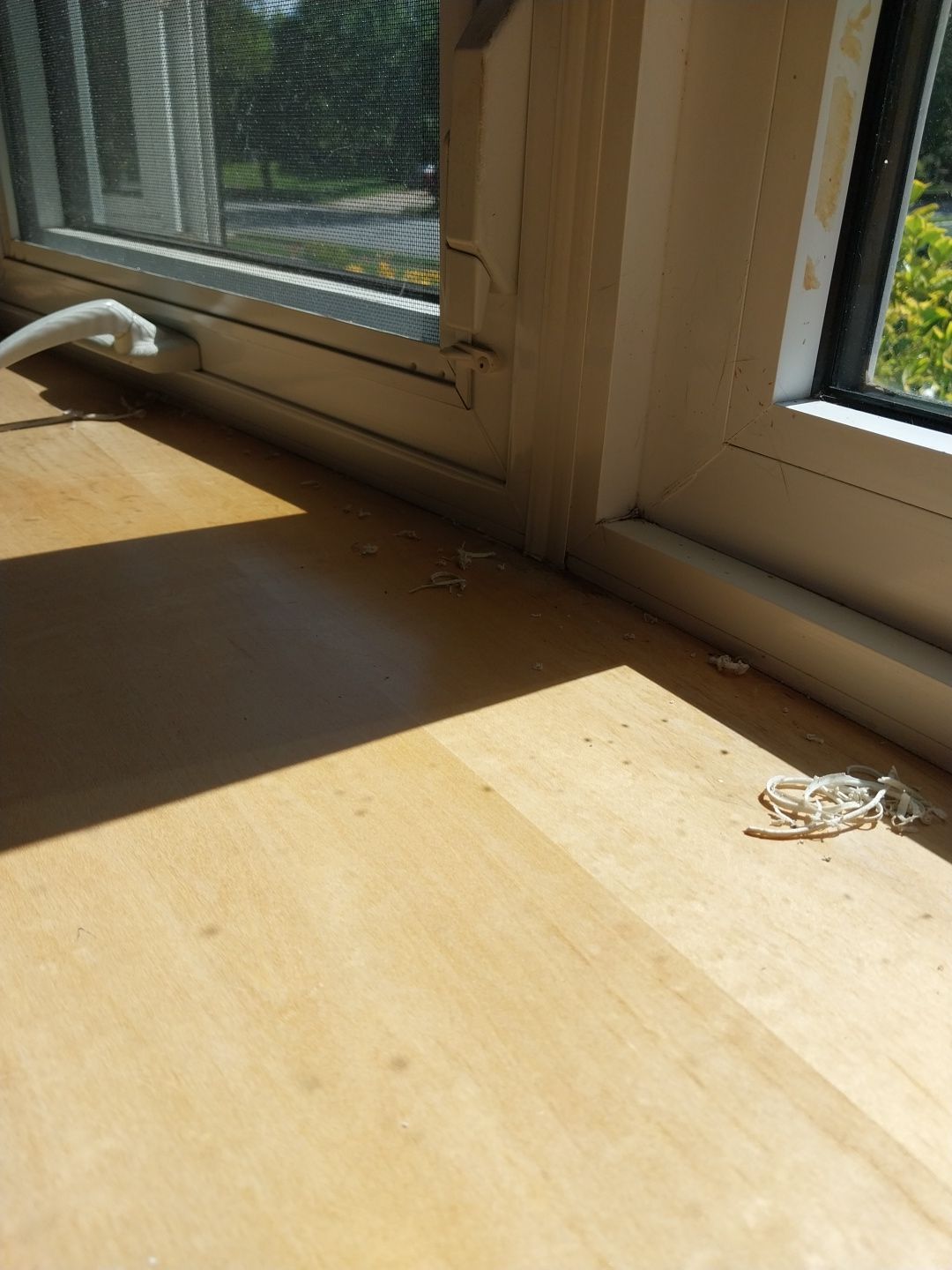 Window Repair using Sherwin Williams Emerald  by Laser Focused Solutions LLC