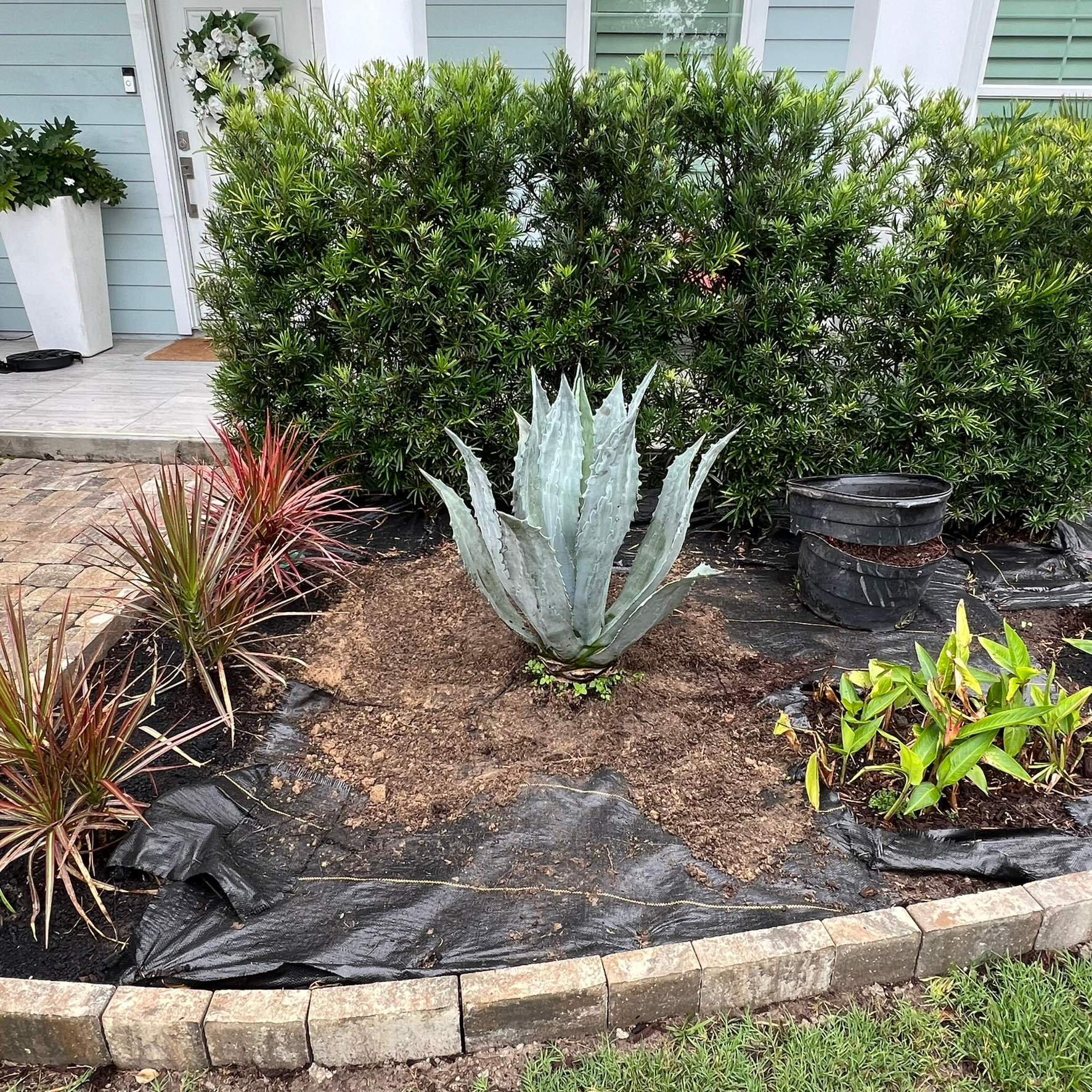 Rock & Agave Installation | Residential by ProGreen Services