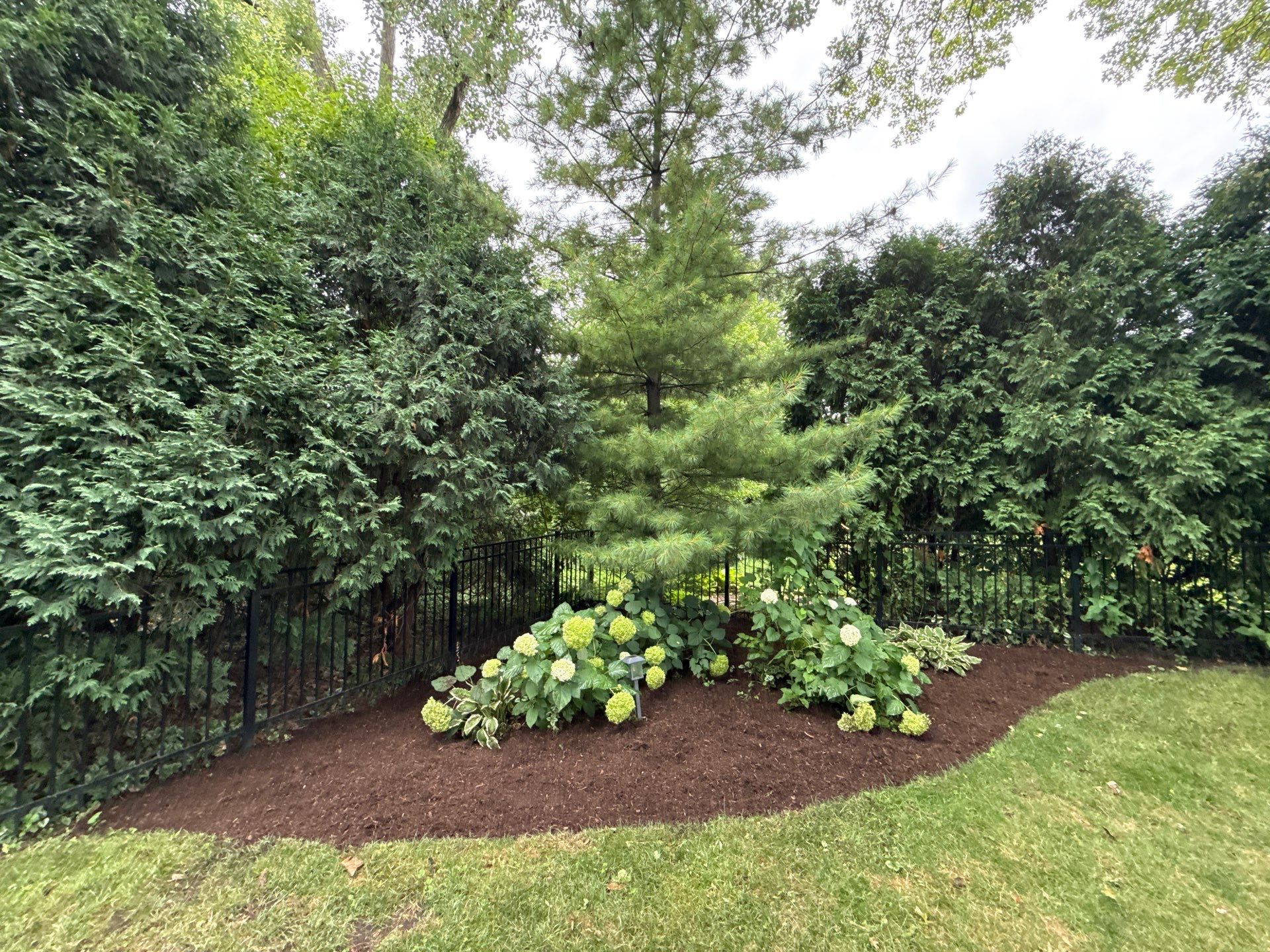 Christopher B. - Glenview, IL by A&N