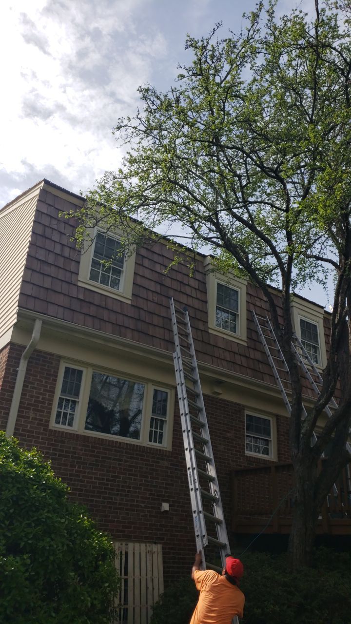 McLean Cedar Shake Roofing Project  by RM Banning, Inc.