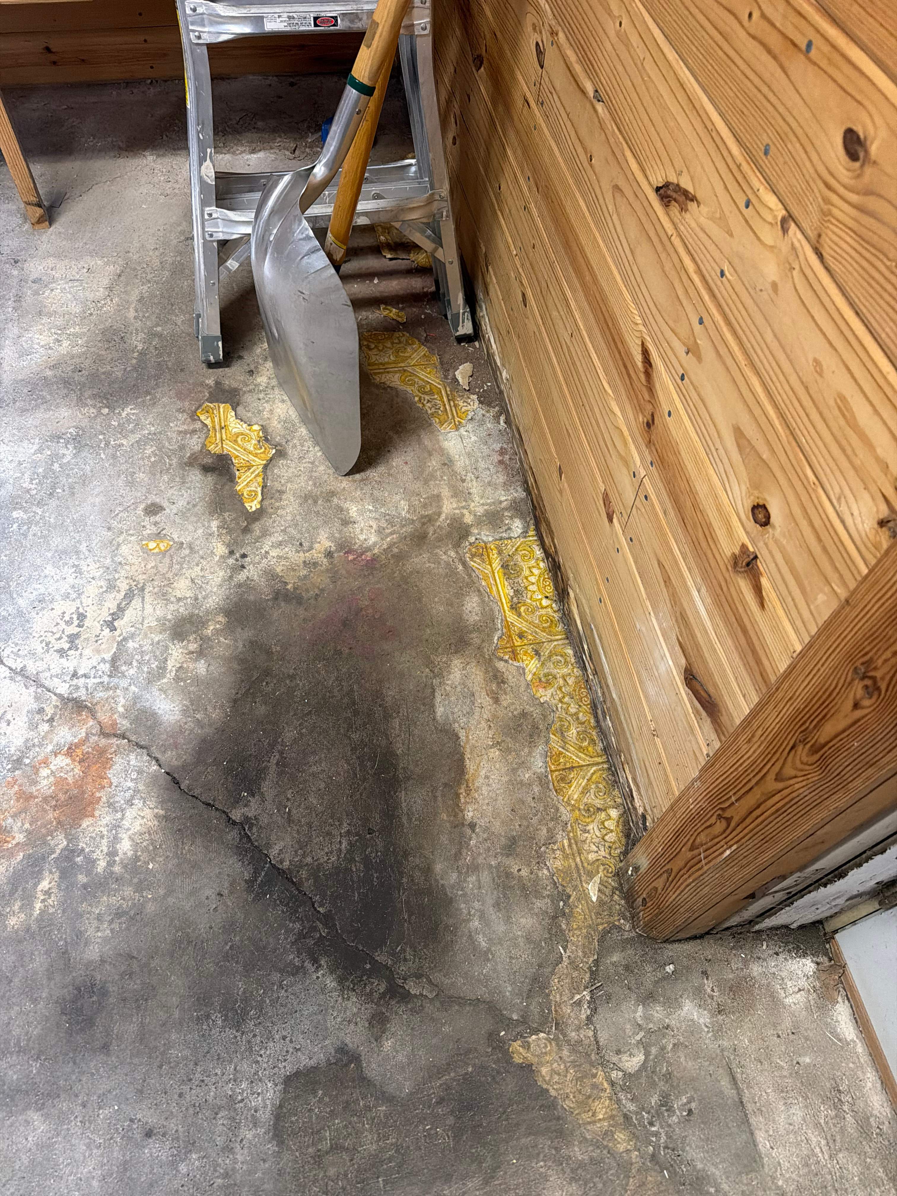 Commercial Epoxy Flake Floor Coating in Emmetsburg, Iowa by Select Painting, Coatings & Garage Cabinets