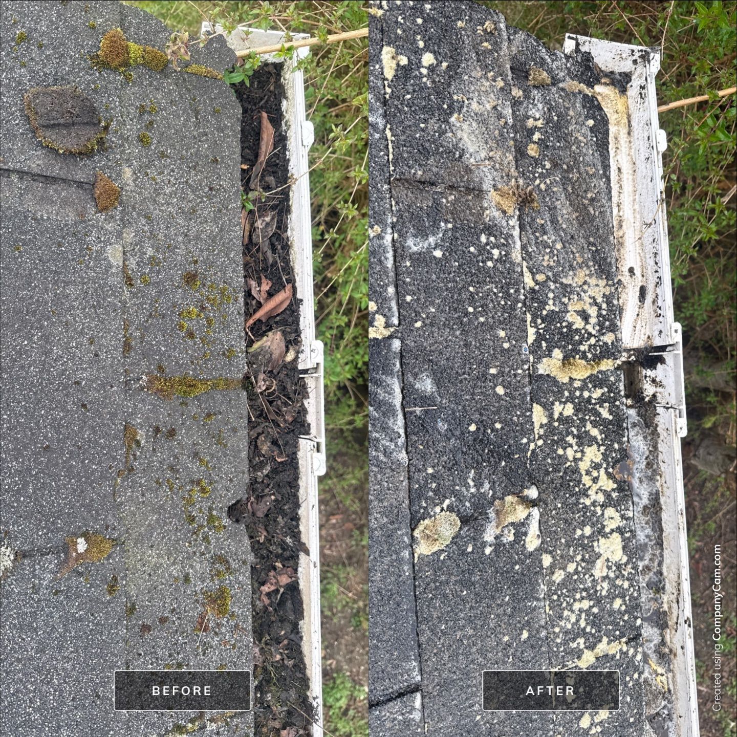 Roof Moss Eliminated - Hammond by Rolling Suds of Oregon Coast – Salem
