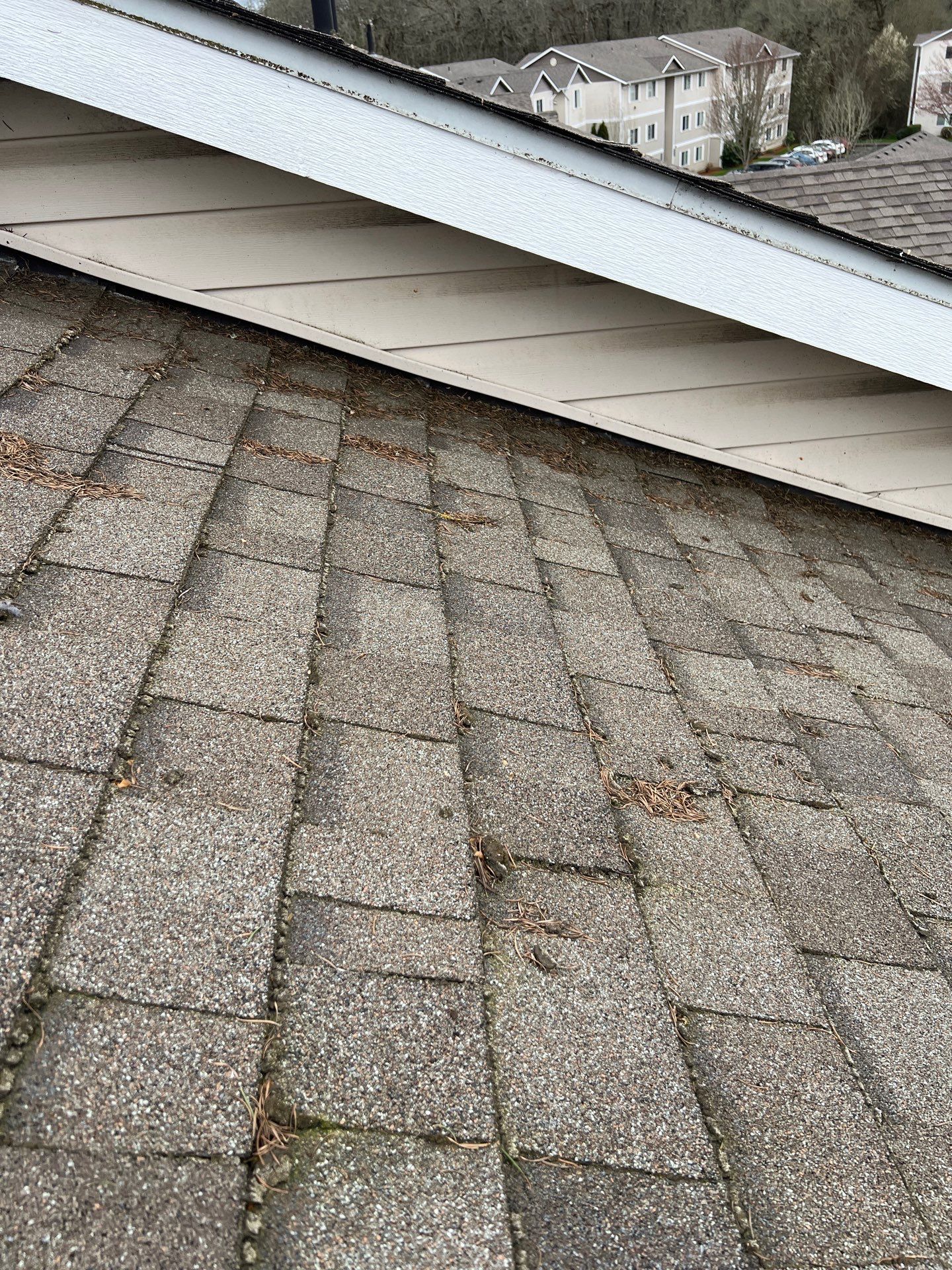 Project in Independence by Trenick Roofing 