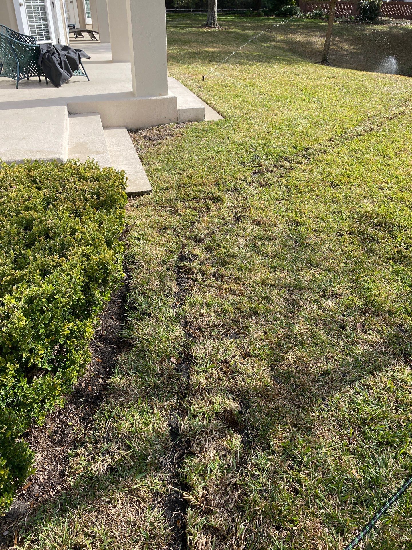 Deerwood Resident | Tree Removal & Trench by ProGreen Services