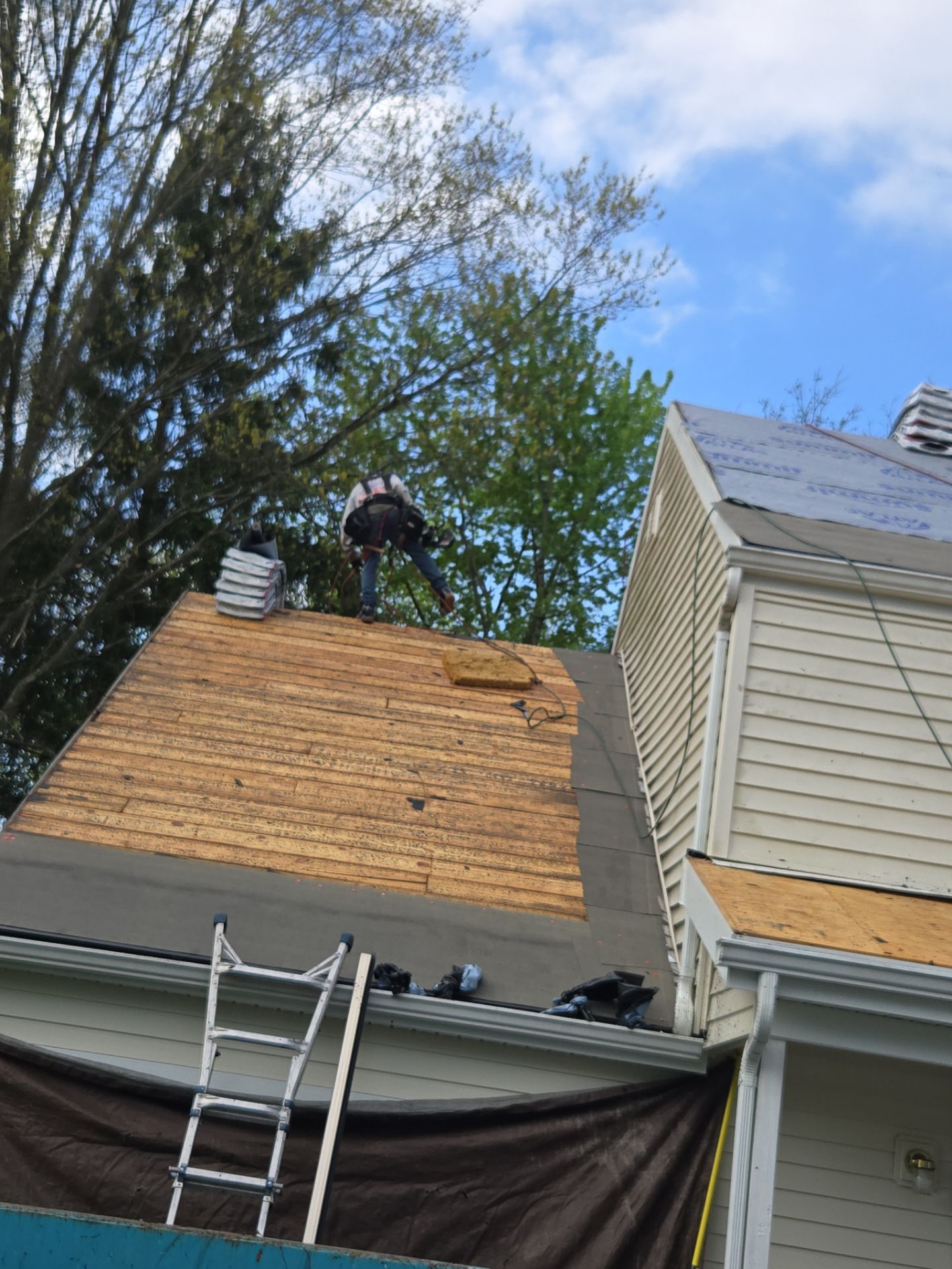 Abby D: Atlas Pinnacle, Color, Black Shadow, Drip Edge, Black by Eagle Eye Roofing