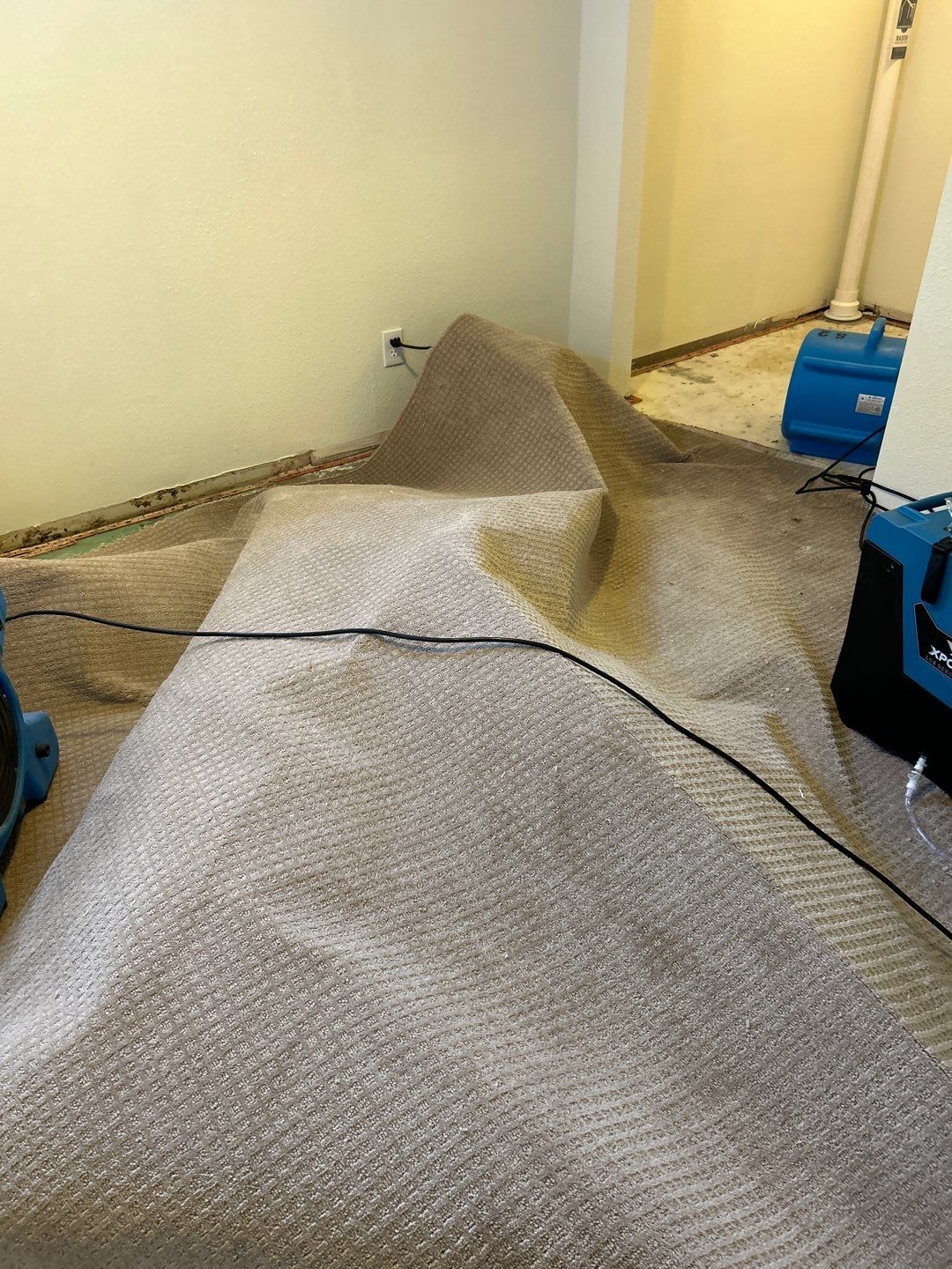 Mold Remediation by Accountable Home Services