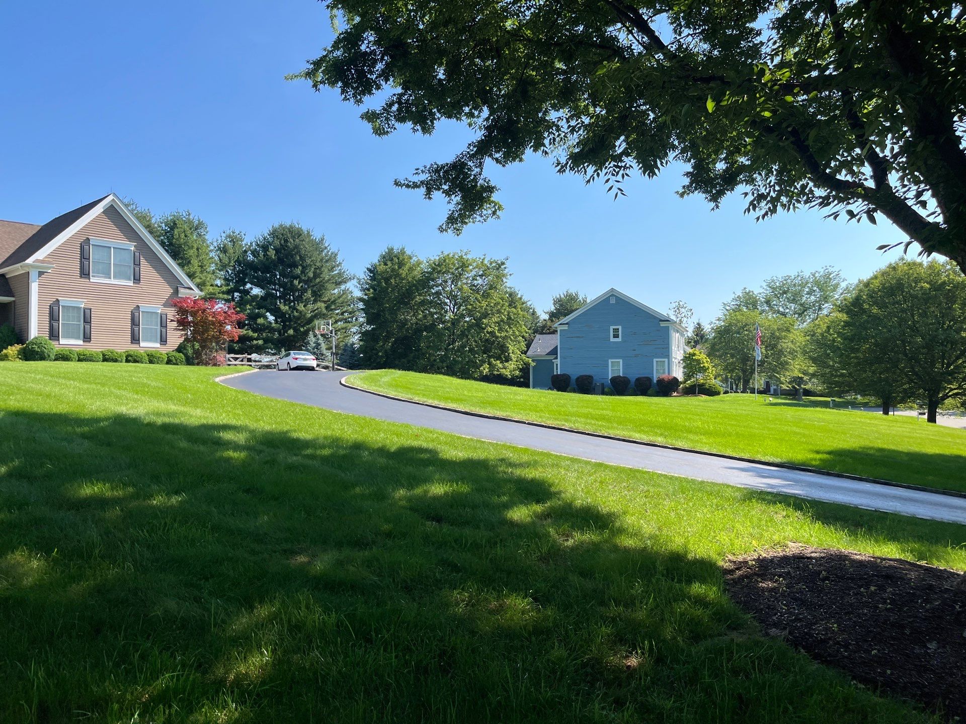 Comprehensive Ornamental Shrub Care in Peapack by Ants Plants