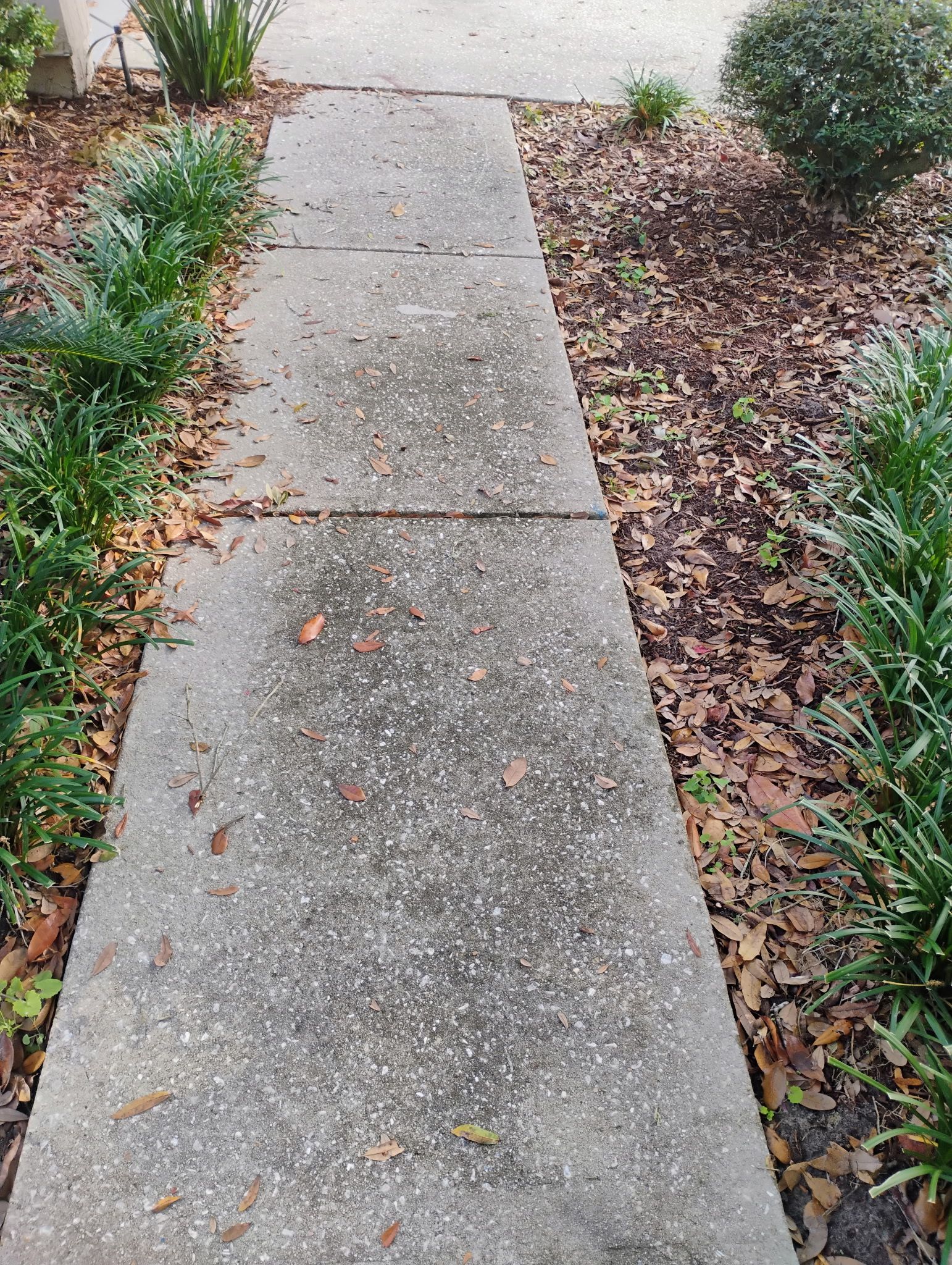 Pressure washing service Ocean Way area Jacksonville, Fl by Harmoni Home Services