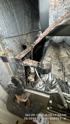Air Duct Cleaning in Montverde