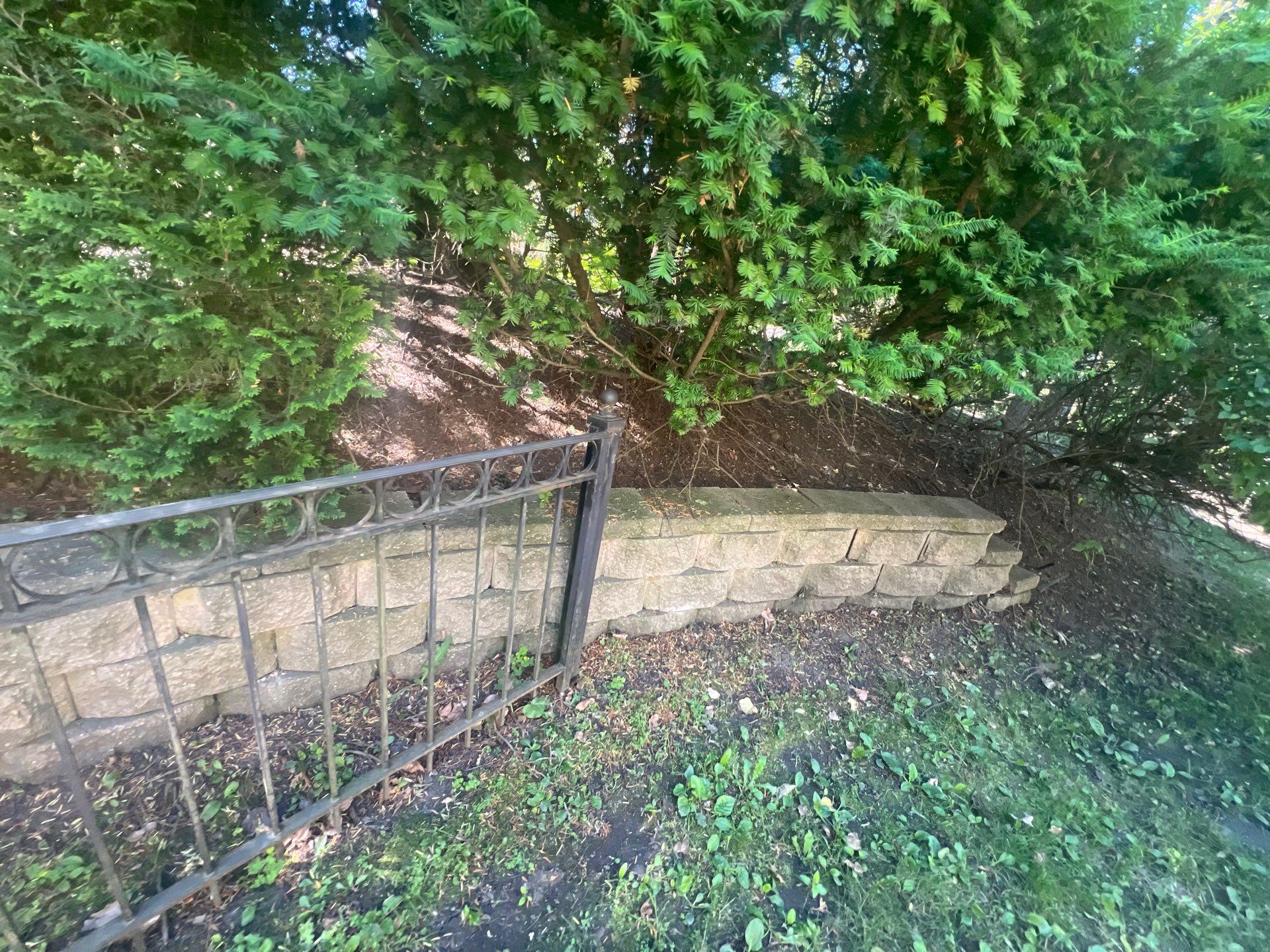 concrete cleaning using Algaecide, soft wash soap by Northern Power Washing LLC.