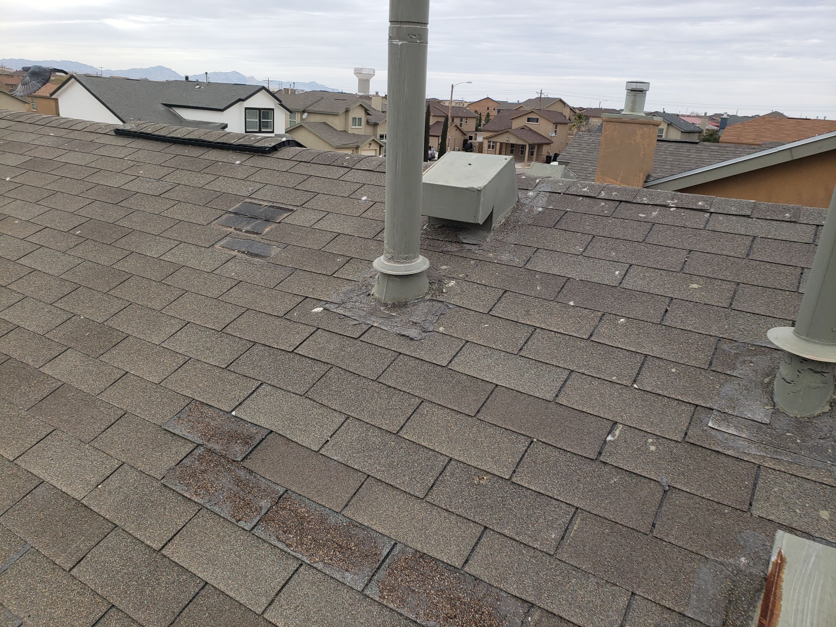 Shingle roof restoration by SPF Services 