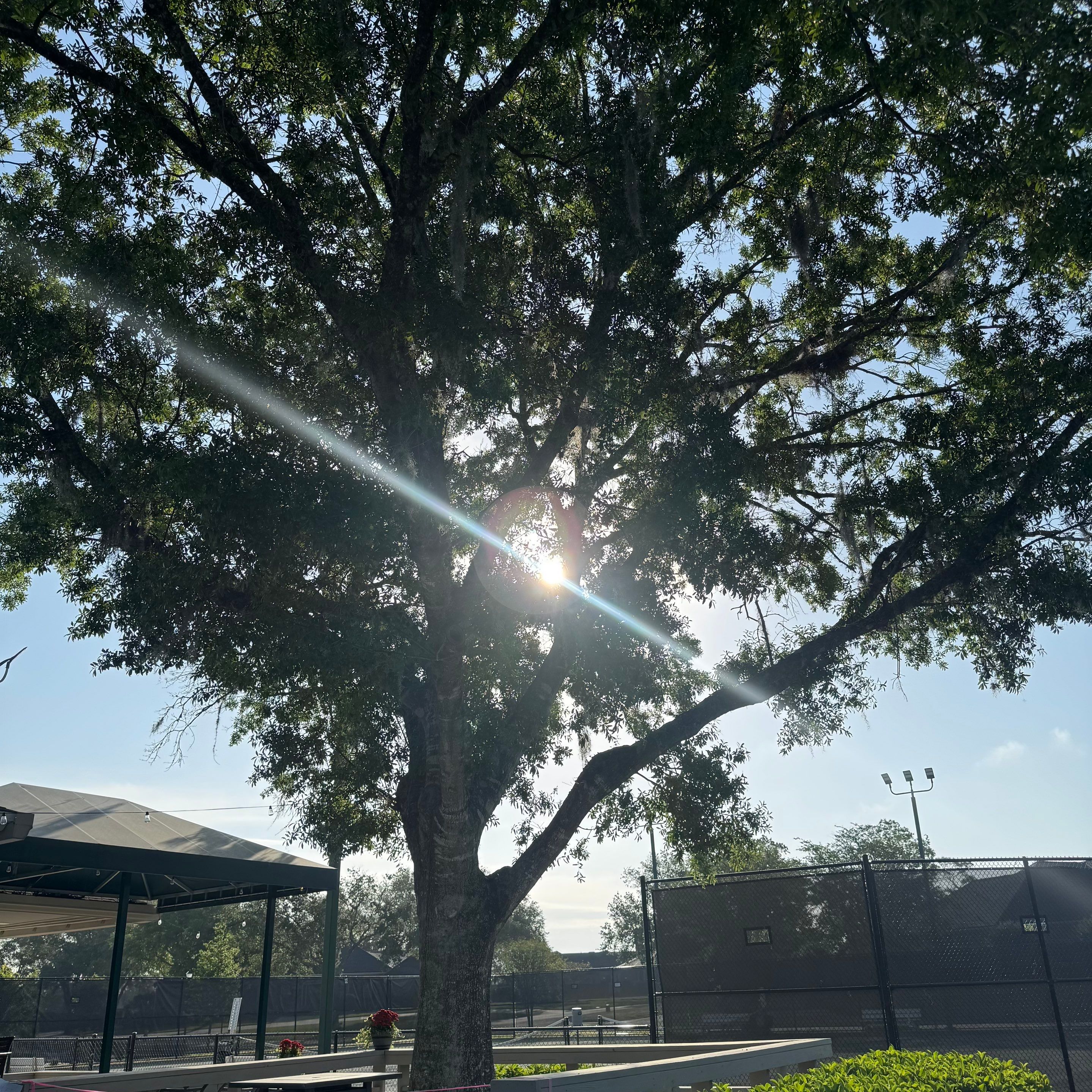 Tennis Complex | Deerwood Community by ProGreen Services
