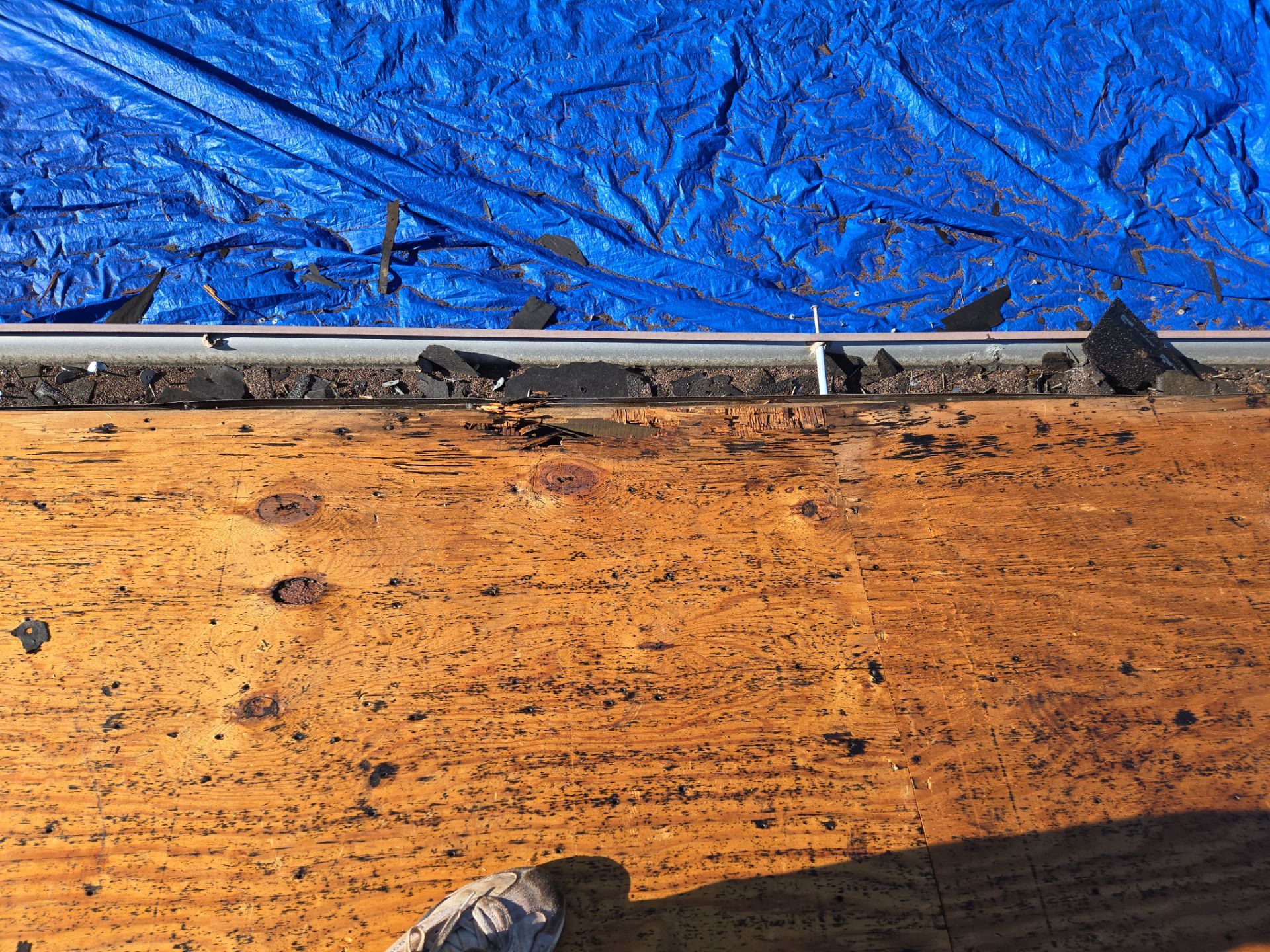 Project in St. Petersburg 33712 by Mitchell Roofing Company LLC