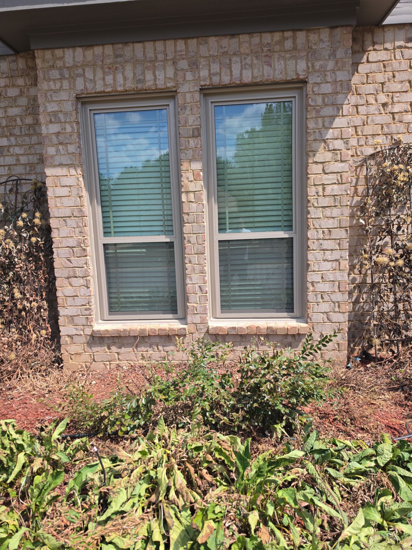 Holland Project in McCalla by The Window Source