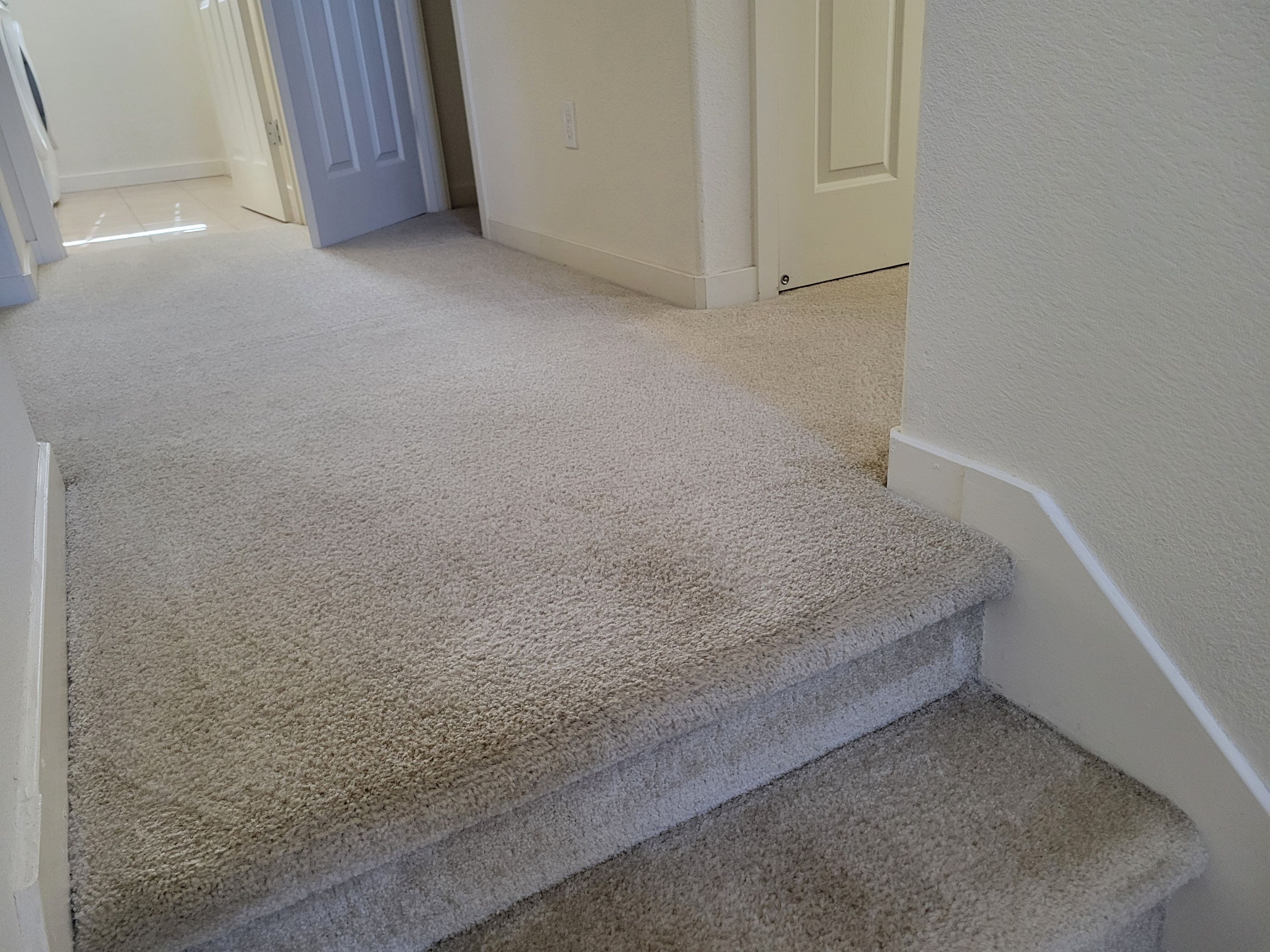 Carpet Cleaning & Stain Removal by Ardent Carpet Restore LLC
