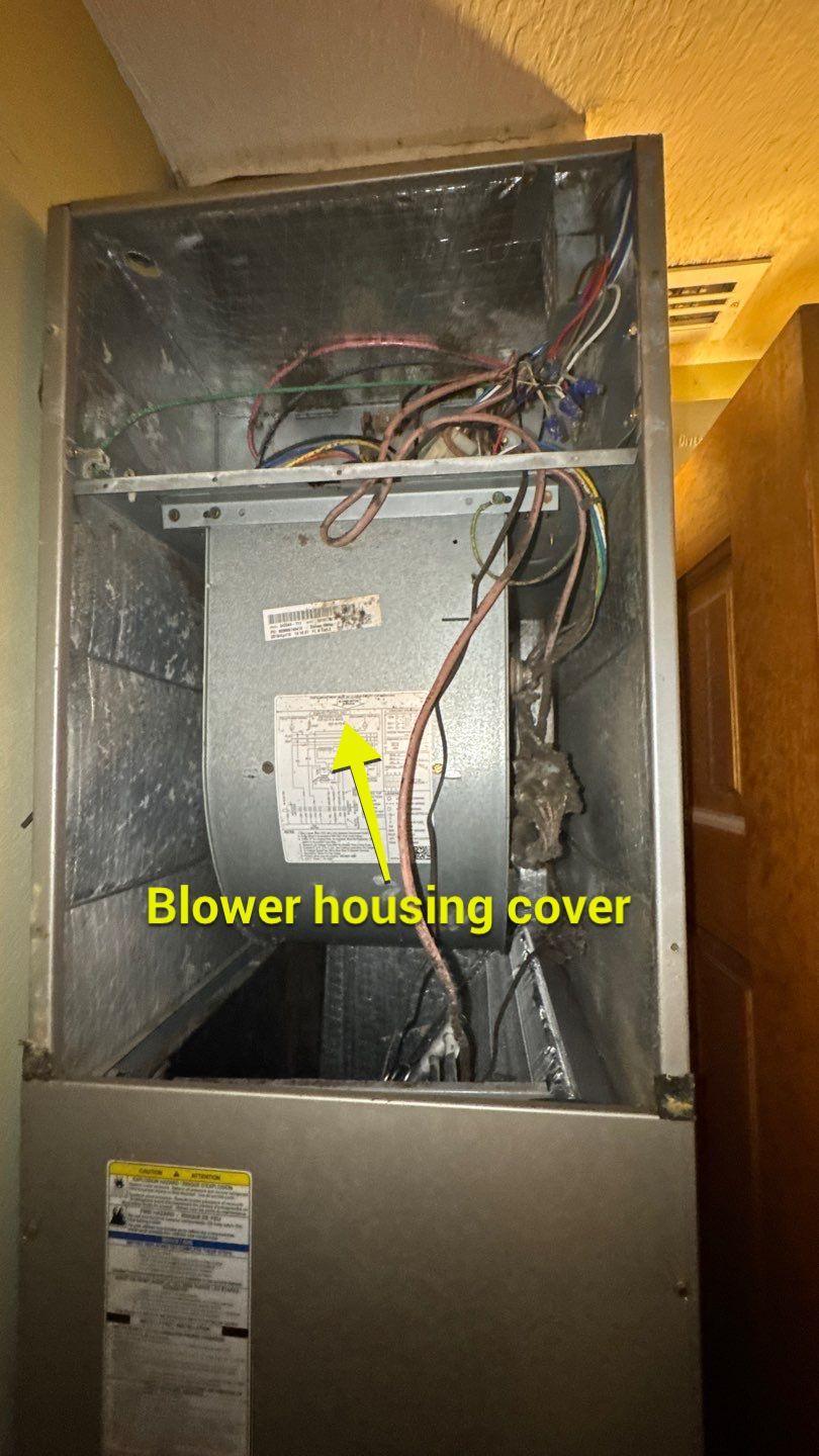 Extremely Dirty Air Duct Cleaning in Fruitland Park by Hygienic Air, Inc
