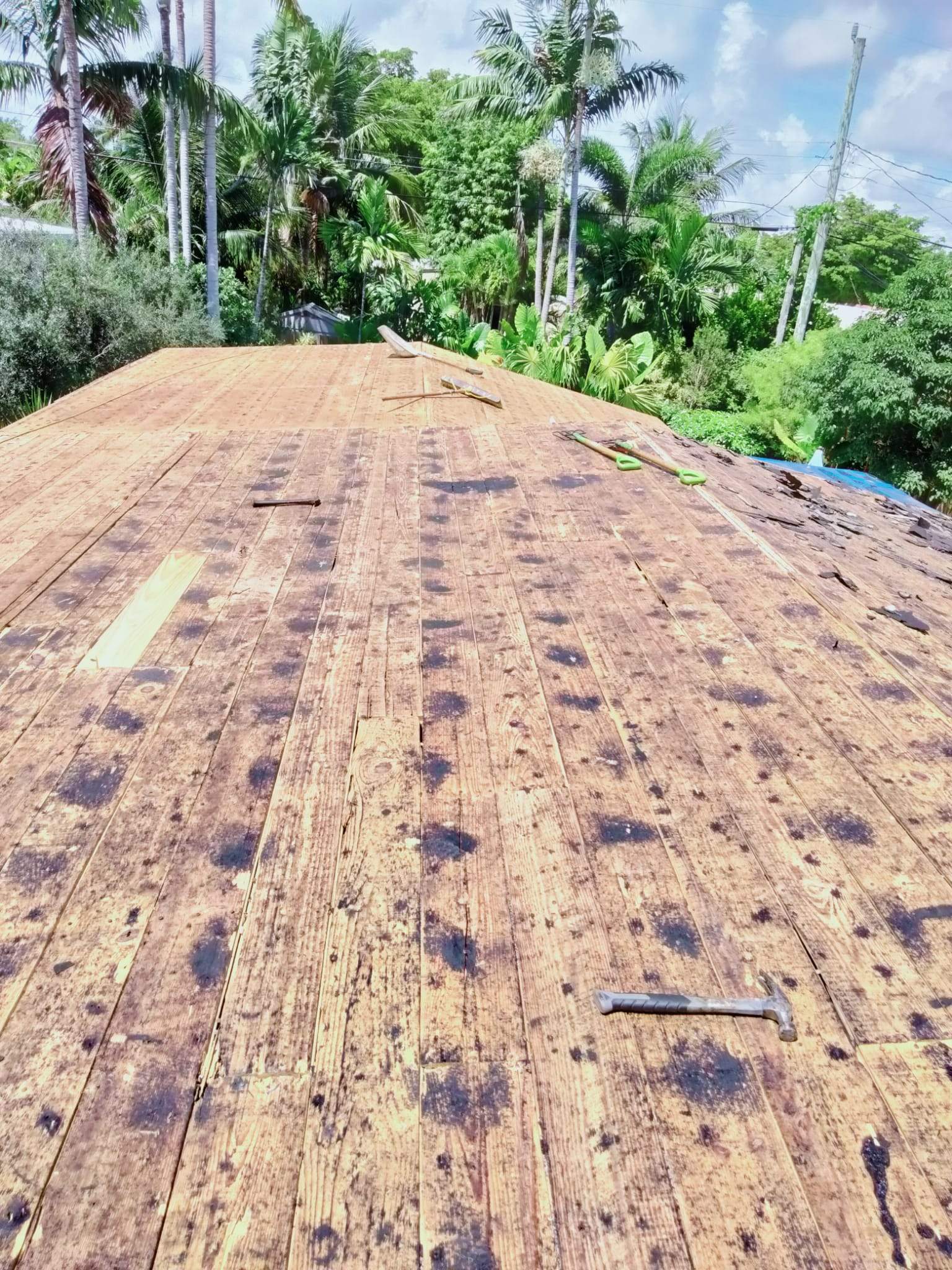 Metal Roof - Galvalume - Regal White by Istueta Roofing