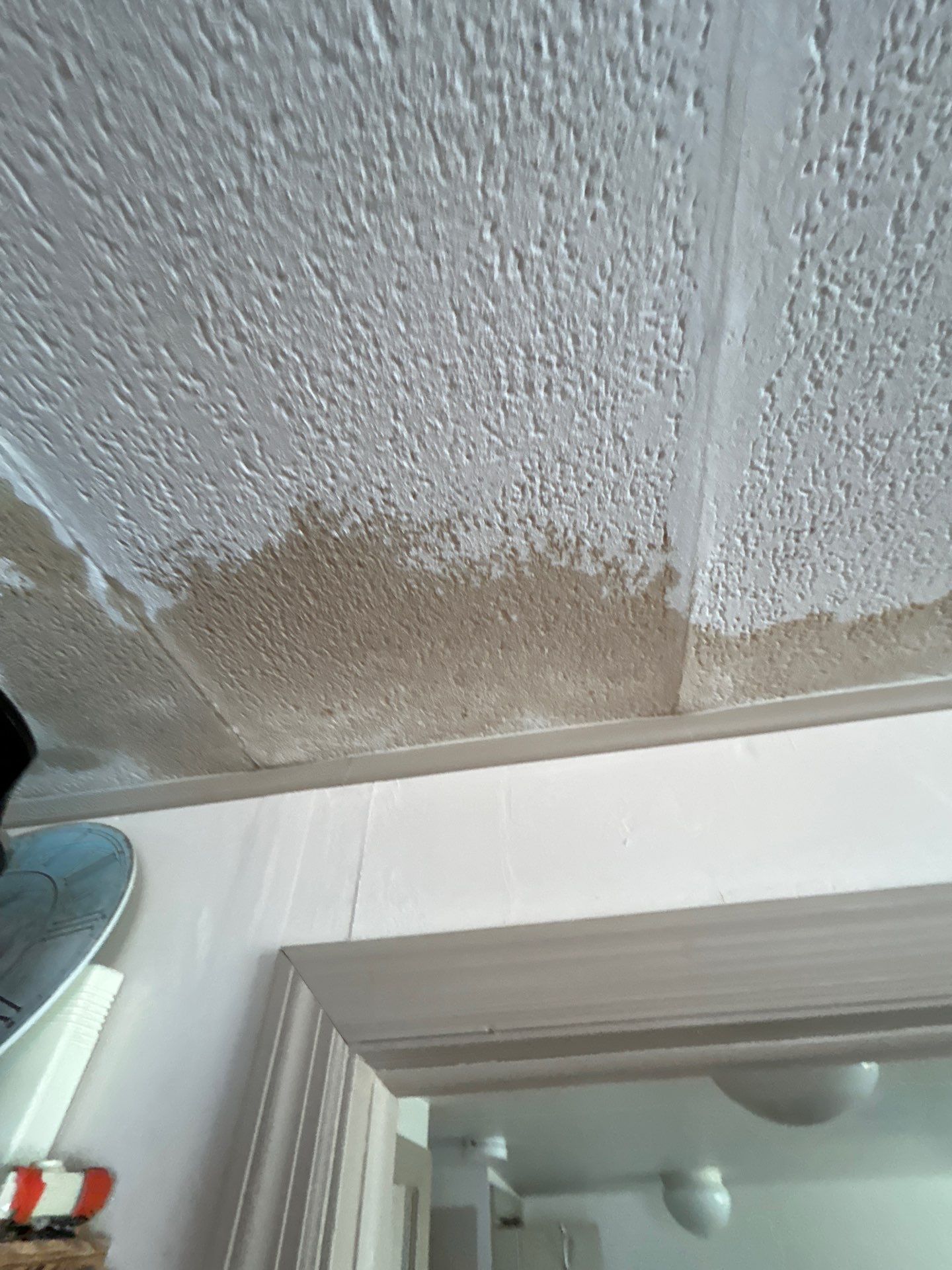 Mold Damage Inspection And Repair In Palmetto FL by Ampm Restoration Services