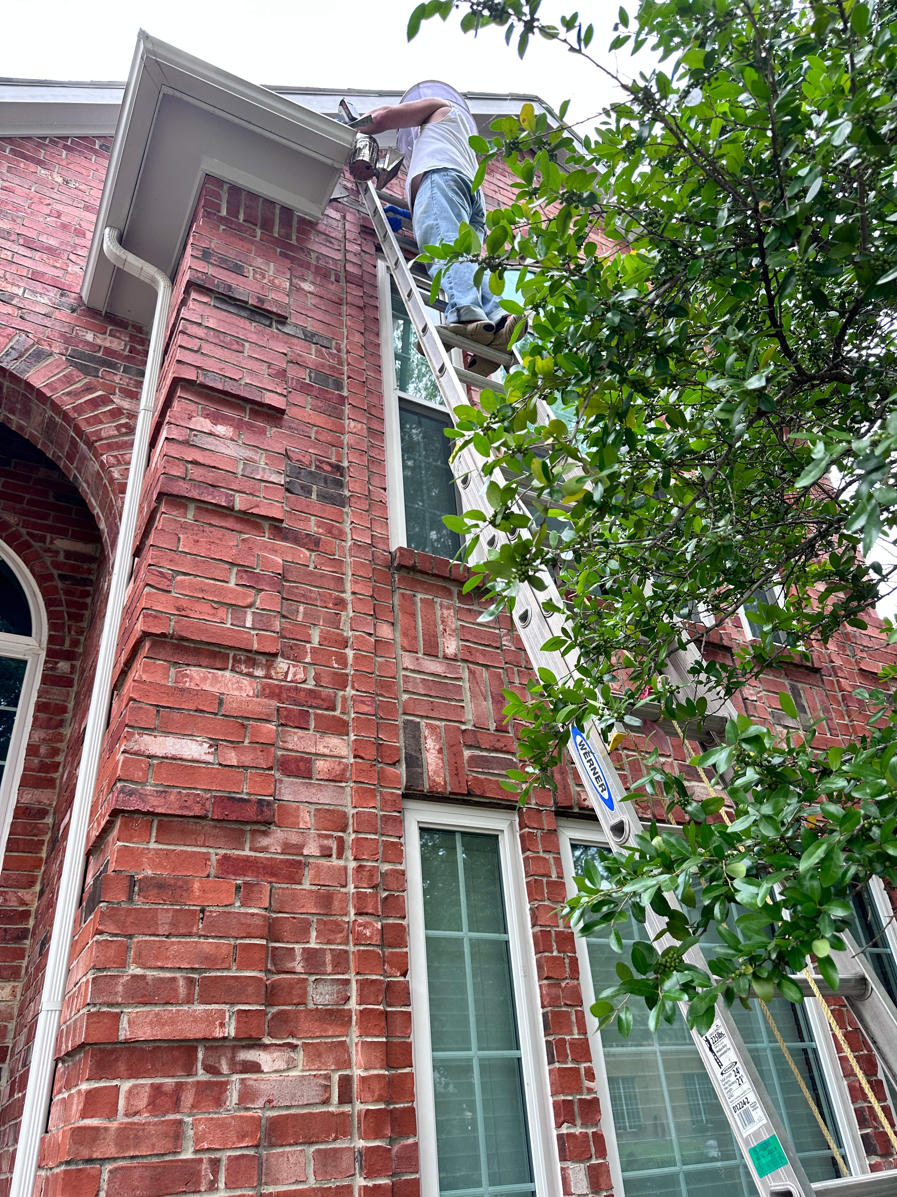 Elevated by Rockwall Honey Bee Company