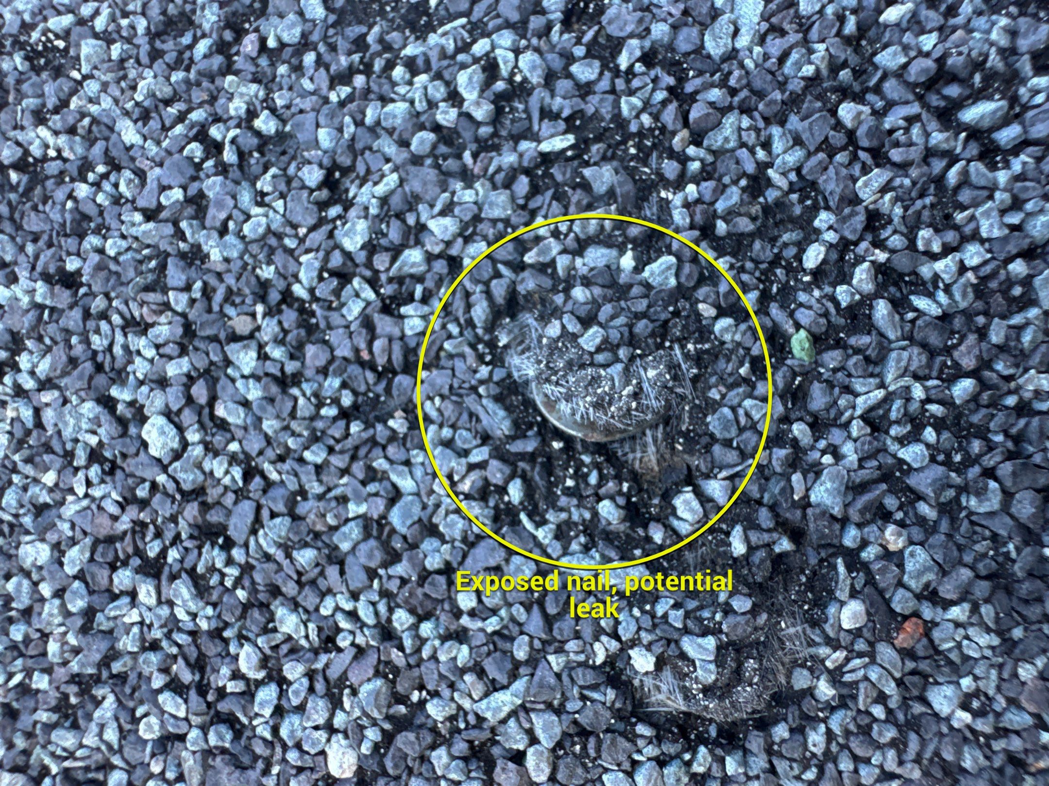 Chyleen Feagin by Tru-Built Roofing