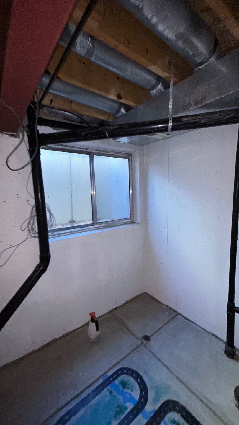 Mold Damage by Accountable Home Services