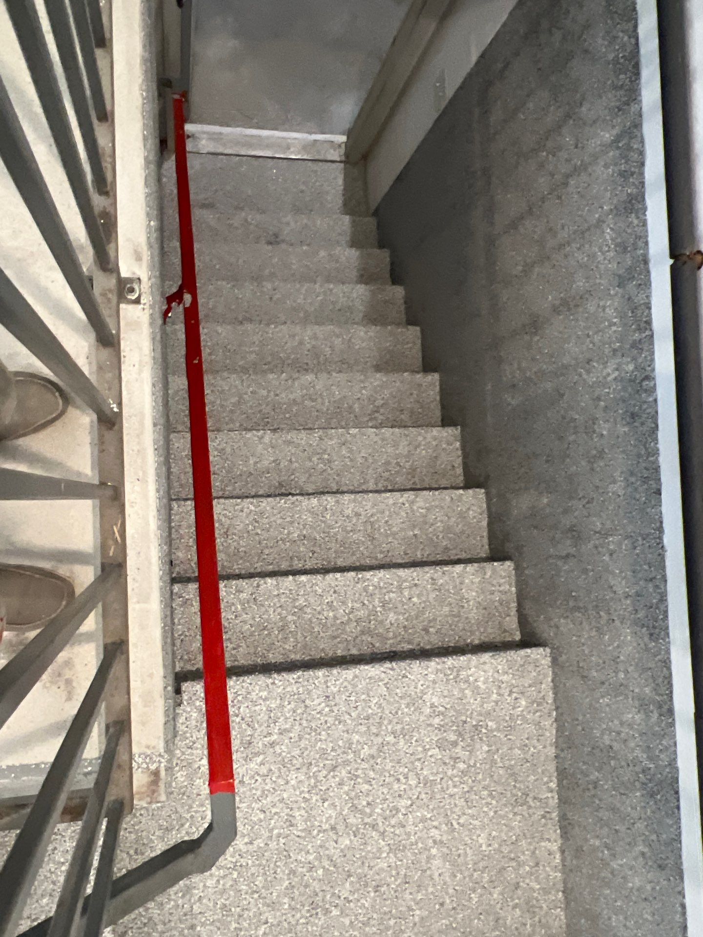 Garage Floor Transformation ✨ by Gordon Painting