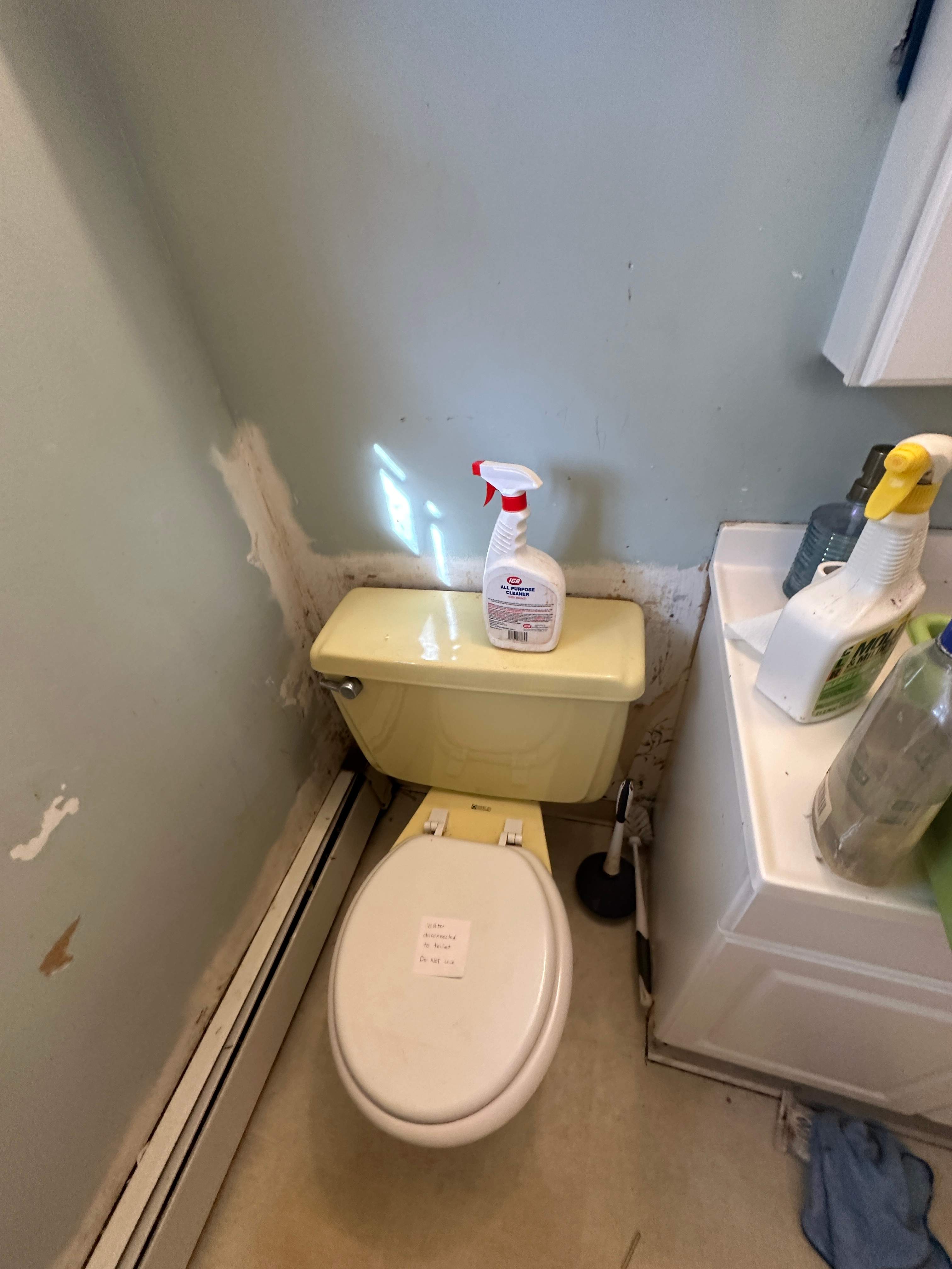 Bathroom Mold Remediation by Home Guarantee, LLC
