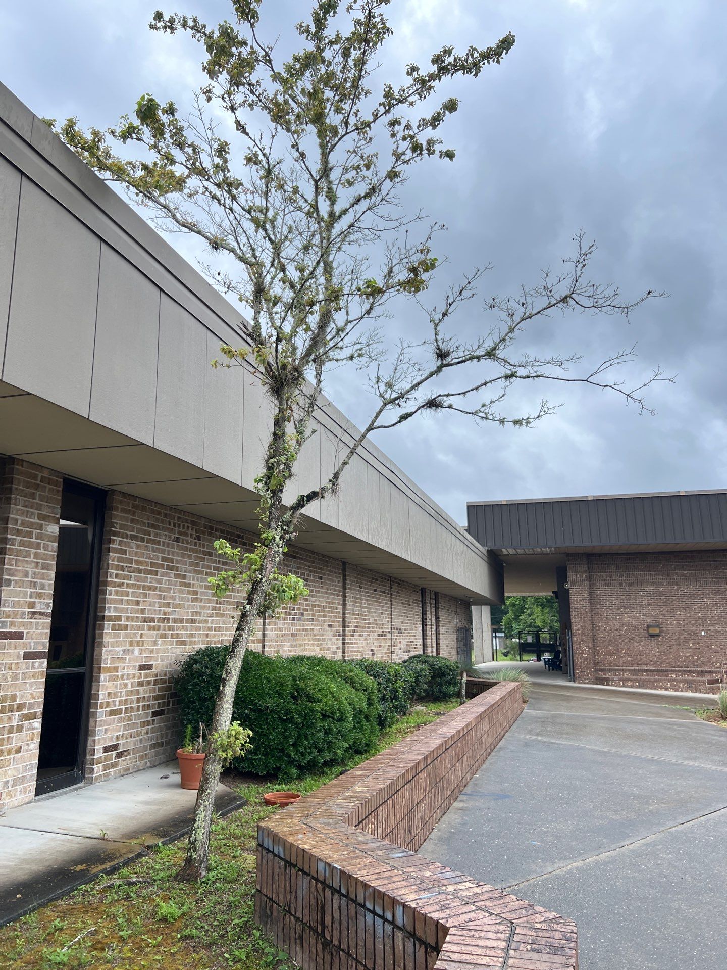 Landscape Install | Keystone Heights HS by ProGreen Services